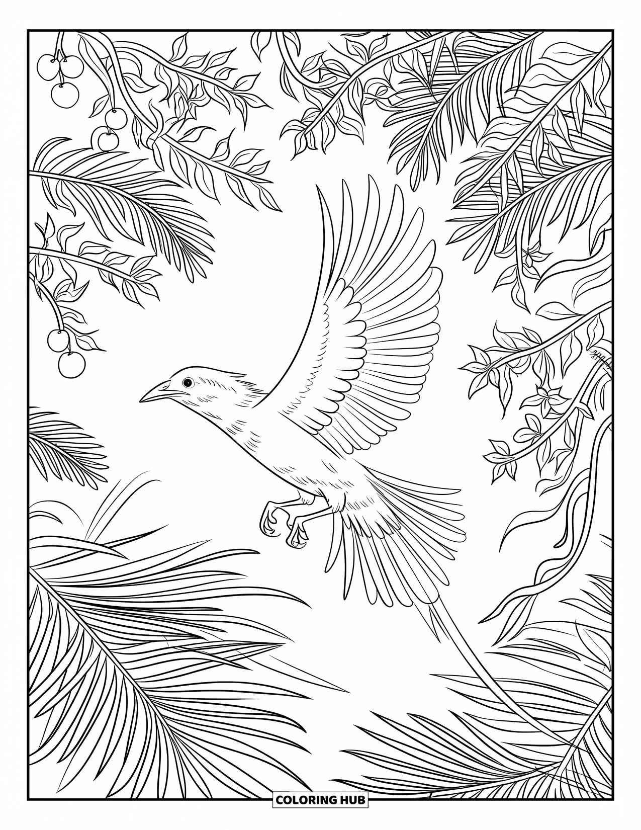 Tropical Coloring Page for Kids: Wide-winged bird perched among flowering trees and hanging fruits