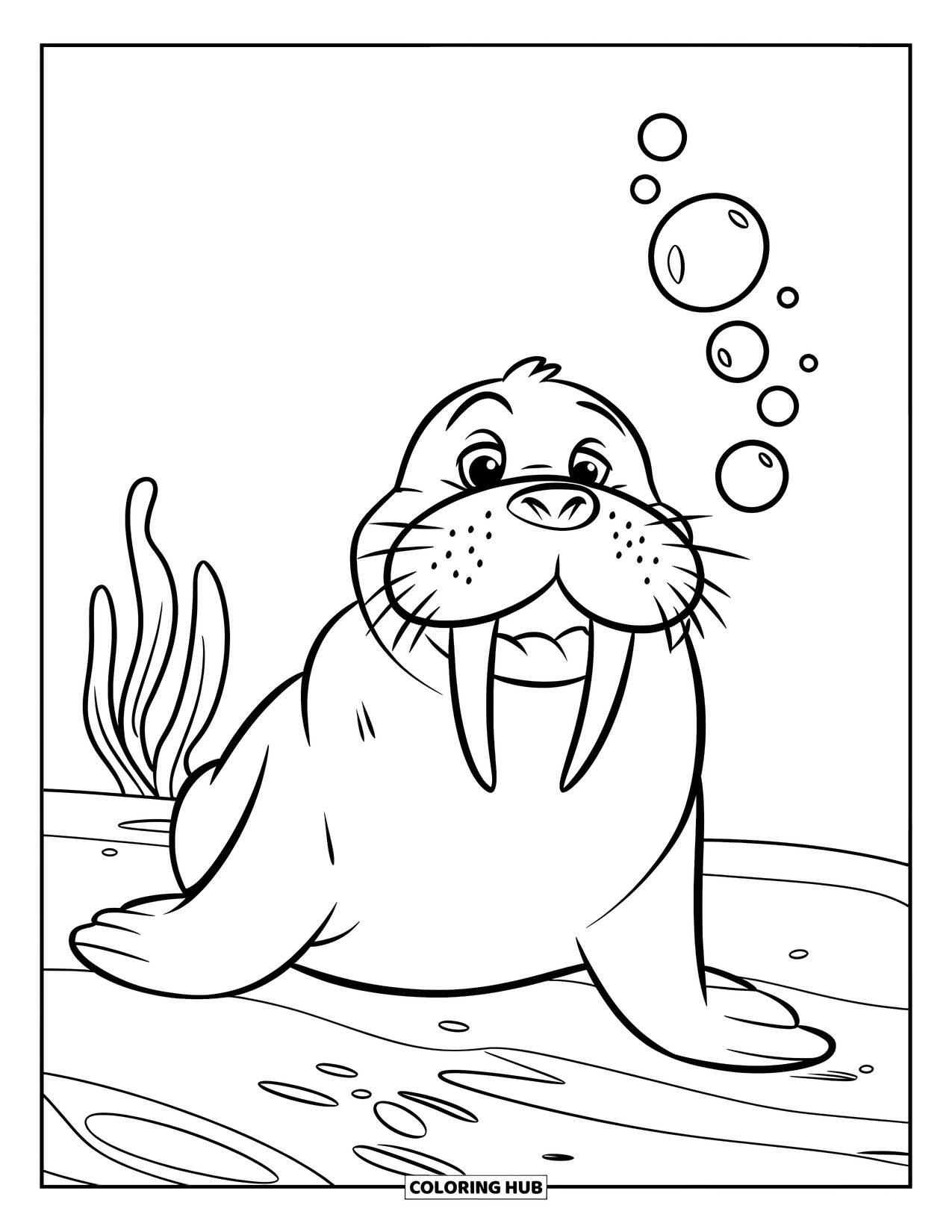 Walrus Coloring Page for Kids: Happy walrus blowing bubbles near some seaweed underwater