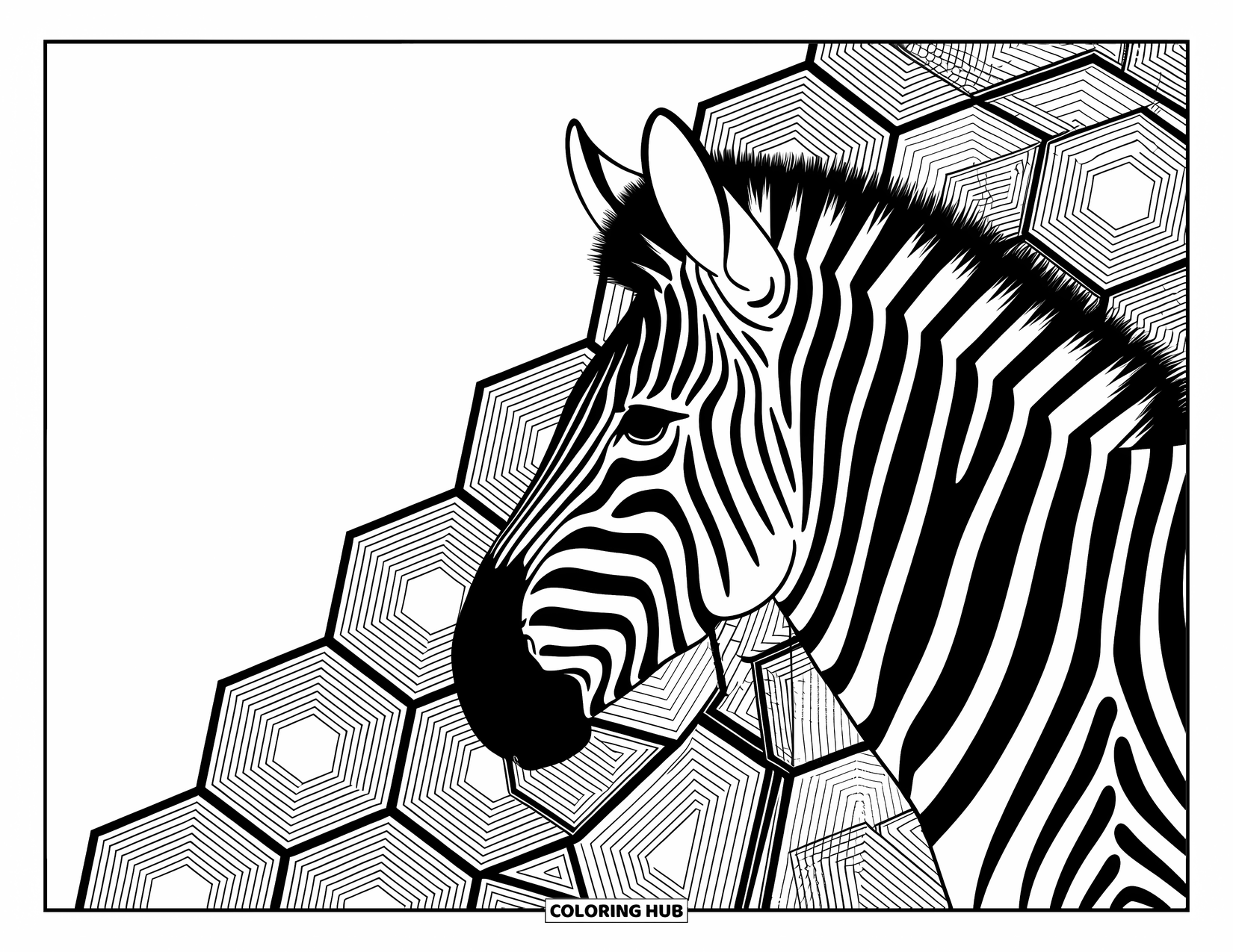 Zebra Coloring Page for Adults: Zebra stripes blend into hexagon shapes in a bold, geometric abstract design