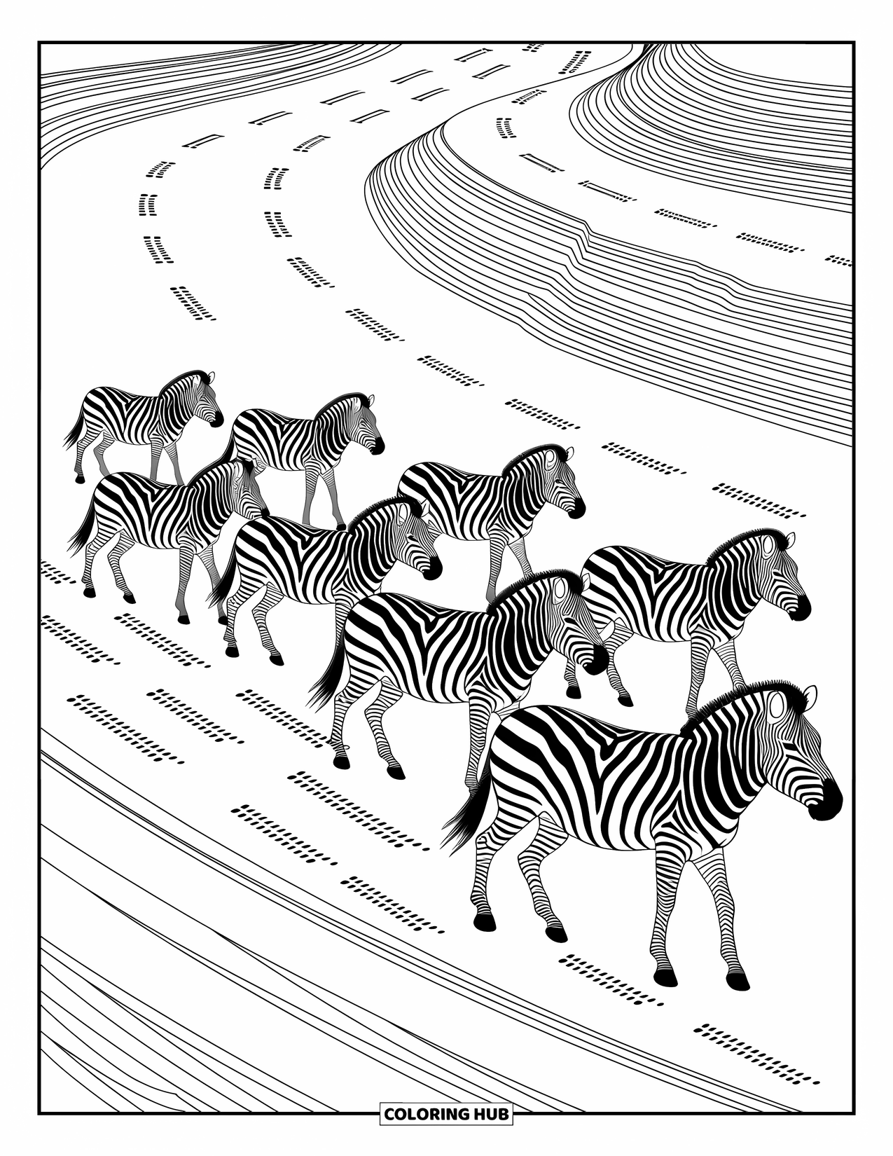 Zebra Coloring Page for Adults: Zebras cross a dry riverbed with hoof prints and detailed patterns in the background