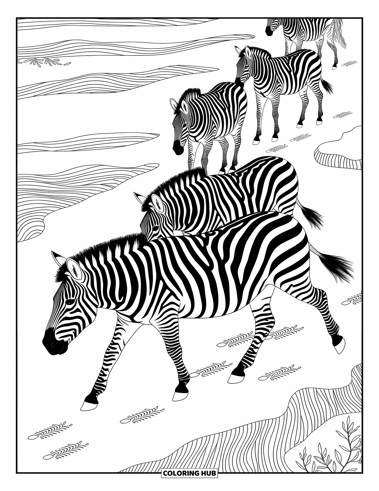 Zebra Coloring Page for Adults: Zebras walk across textured terrain with hoof prints and decorative ground details