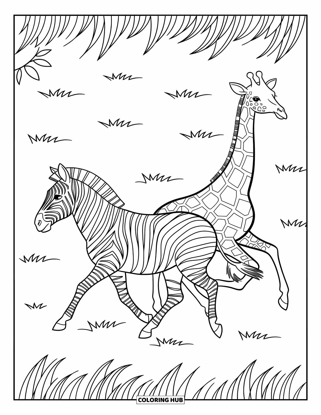 Zebra Coloring Page for Kids: Zebra and giraffe dash side by side, surrounded by scattered trees and open space