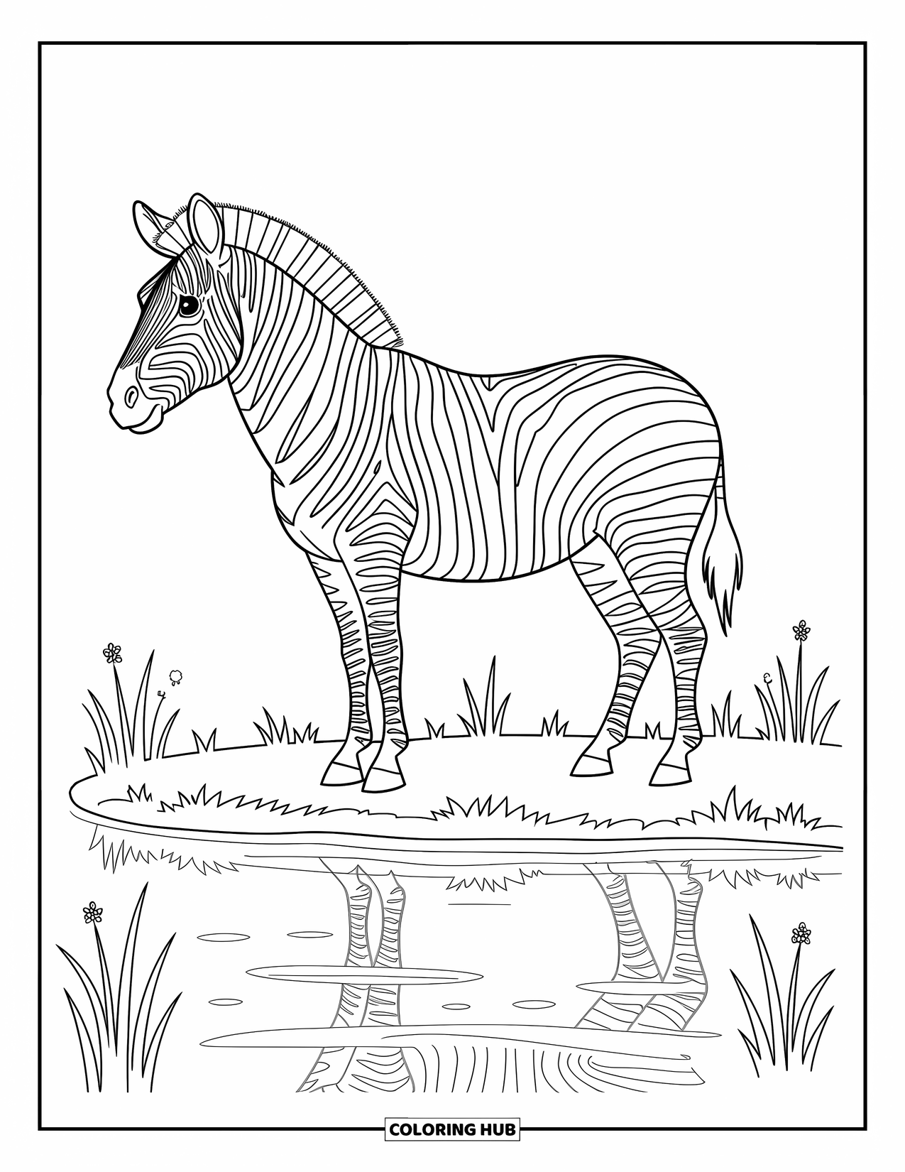 Zebra Coloring Page for Kids: Zebra stands still near a pond, its stripes mirrored in the gentle water