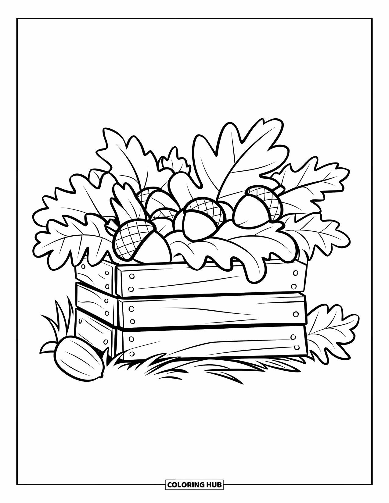 Acorn Coloring Page for Kids: A cozy crate full of acorns and foliage sits quietly in a woodland clearing