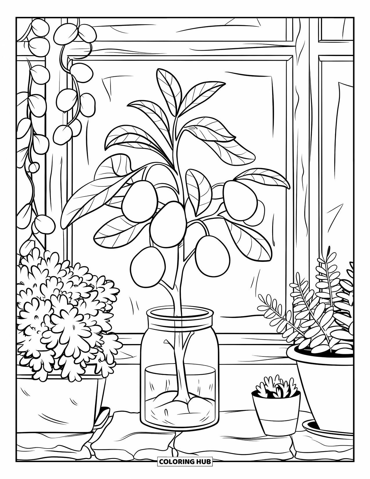 Avocado Coloring Page for Kids: Avocado plant growing in a jar with potted greenery on a windowsill
