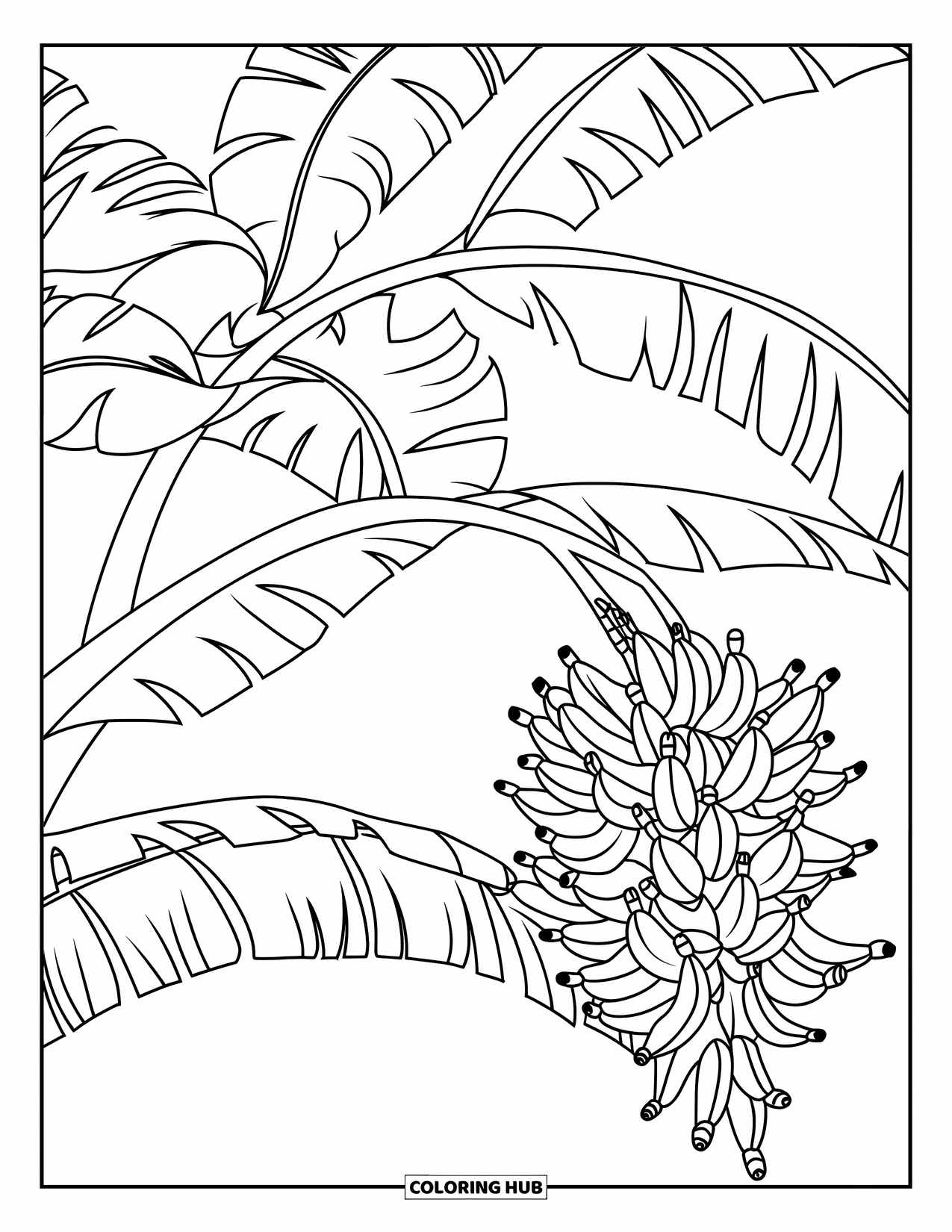 Banana Coloring Page for Kids: Bananas hang from a leafy tree branch in a peaceful tropical scene