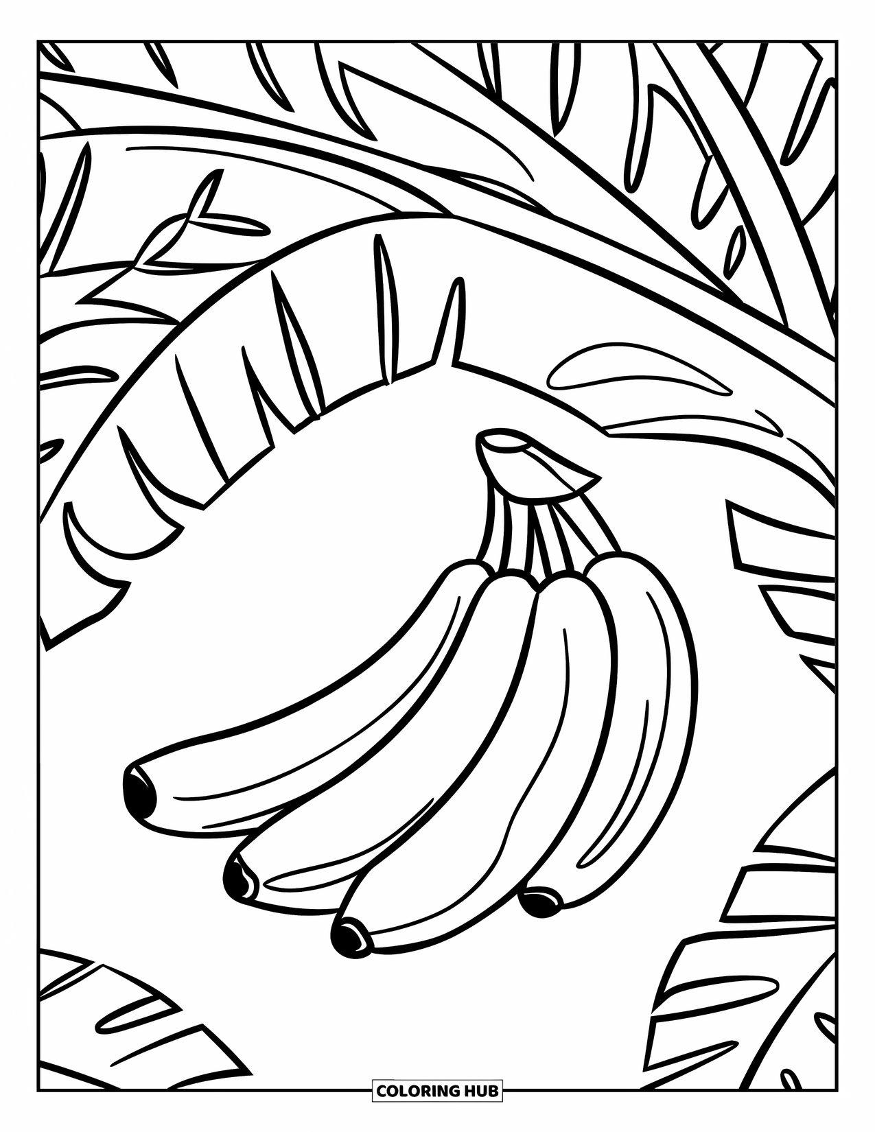 Banana Coloring Page for Kids: Bananas hang from a tree branch with big leaves above