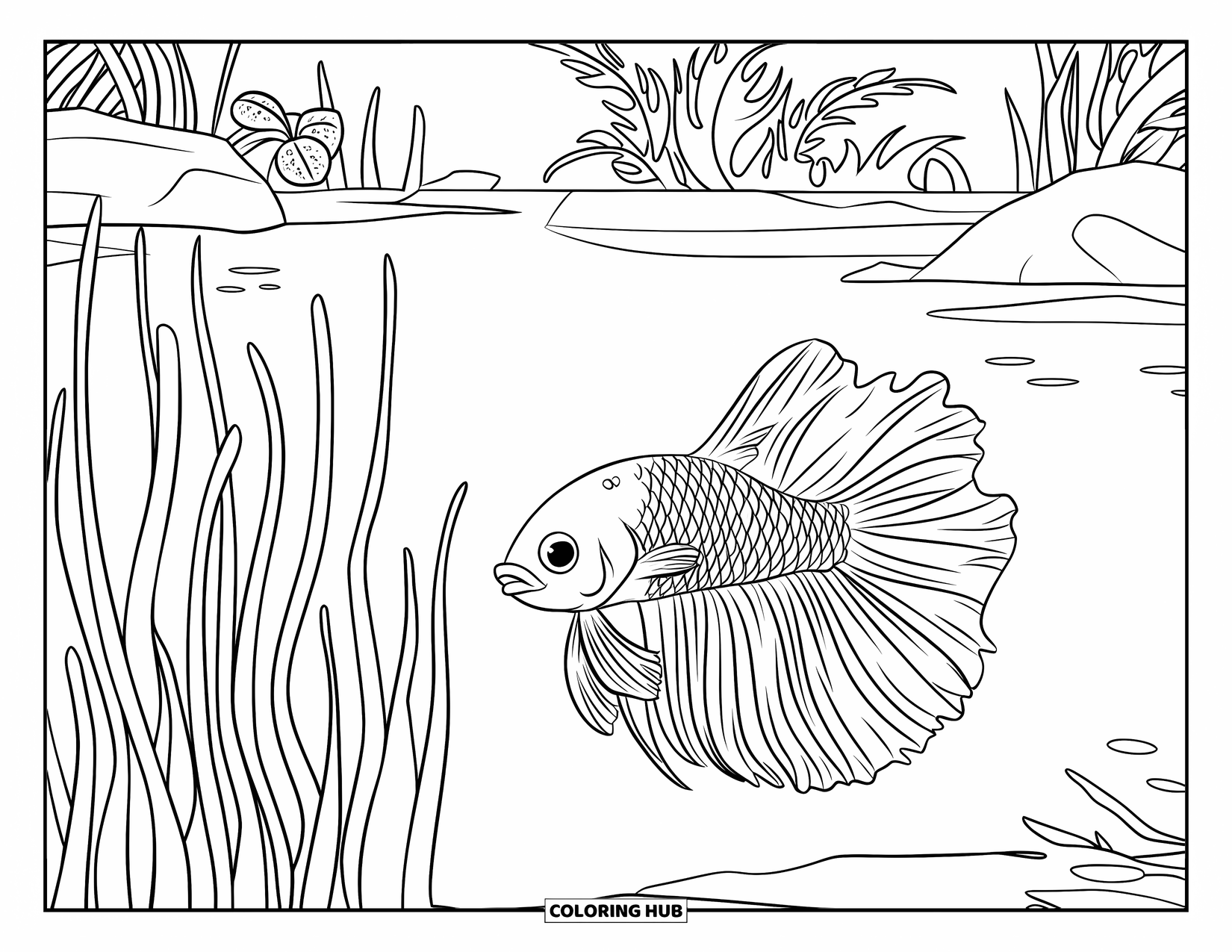 Betta Fish Coloring Page for Kids: A betta fish floats near plants and rocks in a calm, plant-filled pond