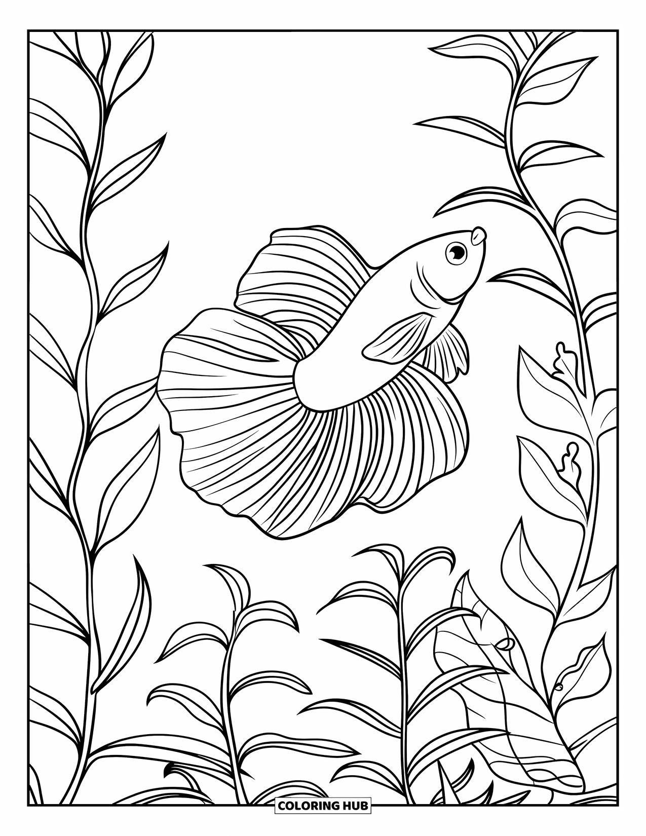 Betta Fish Coloring Page for Kids: A betta fish glides through tall plants with curvy leaves in calm water