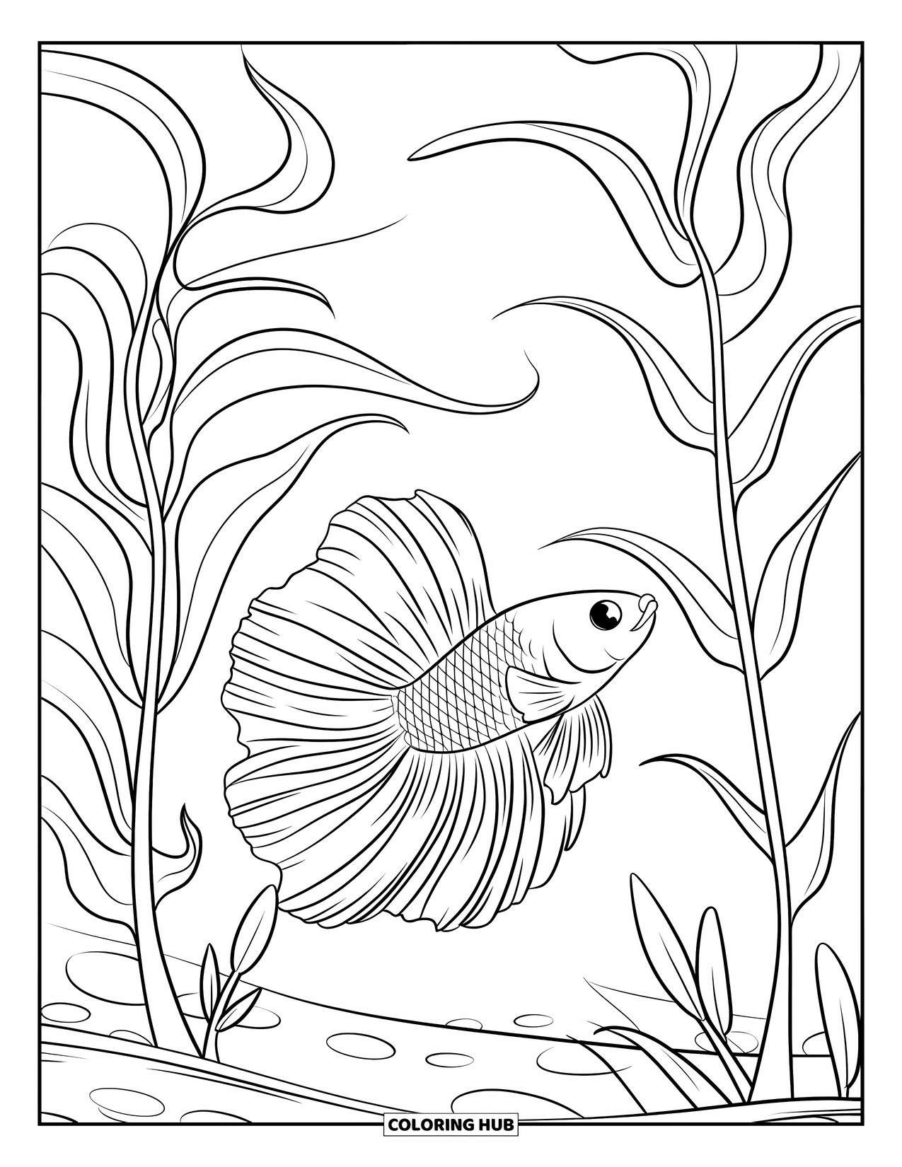 Betta Fish Coloring Page for Kids: A betta fish swims among tall underwater plants with soft, curved leaves