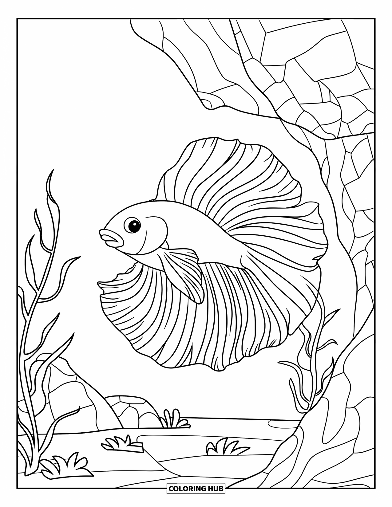 Betta Fish Coloring Page for Kids: A betta fish swims peacefully near a rocky wall with sparse green plants