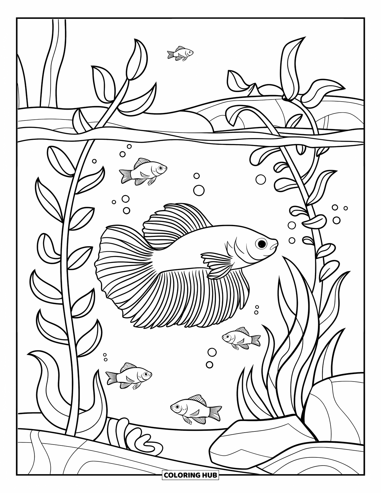 Betta Fish Coloring Page for Kids: A betta fish swims through tall plants while tiny fish swim in the background