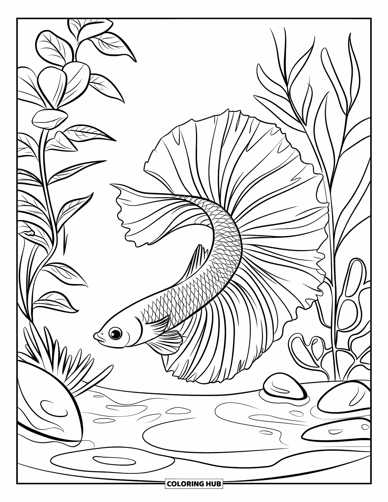 Betta Fish Coloring Page for Kids: A betta fish twists near tank plants and stones in calm, clear water