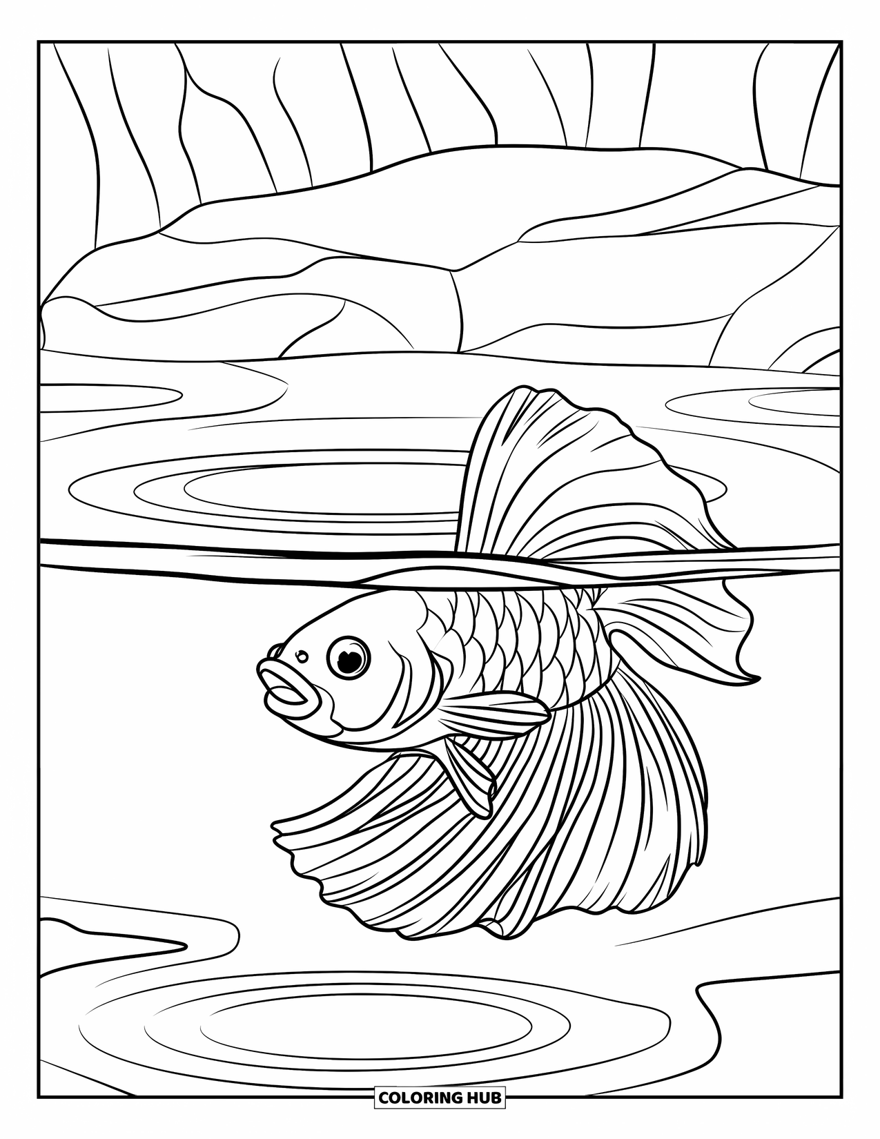 Betta Fish Coloring Page for Kids: A betta fish with open fins swims in clear water with rocky surroundings
