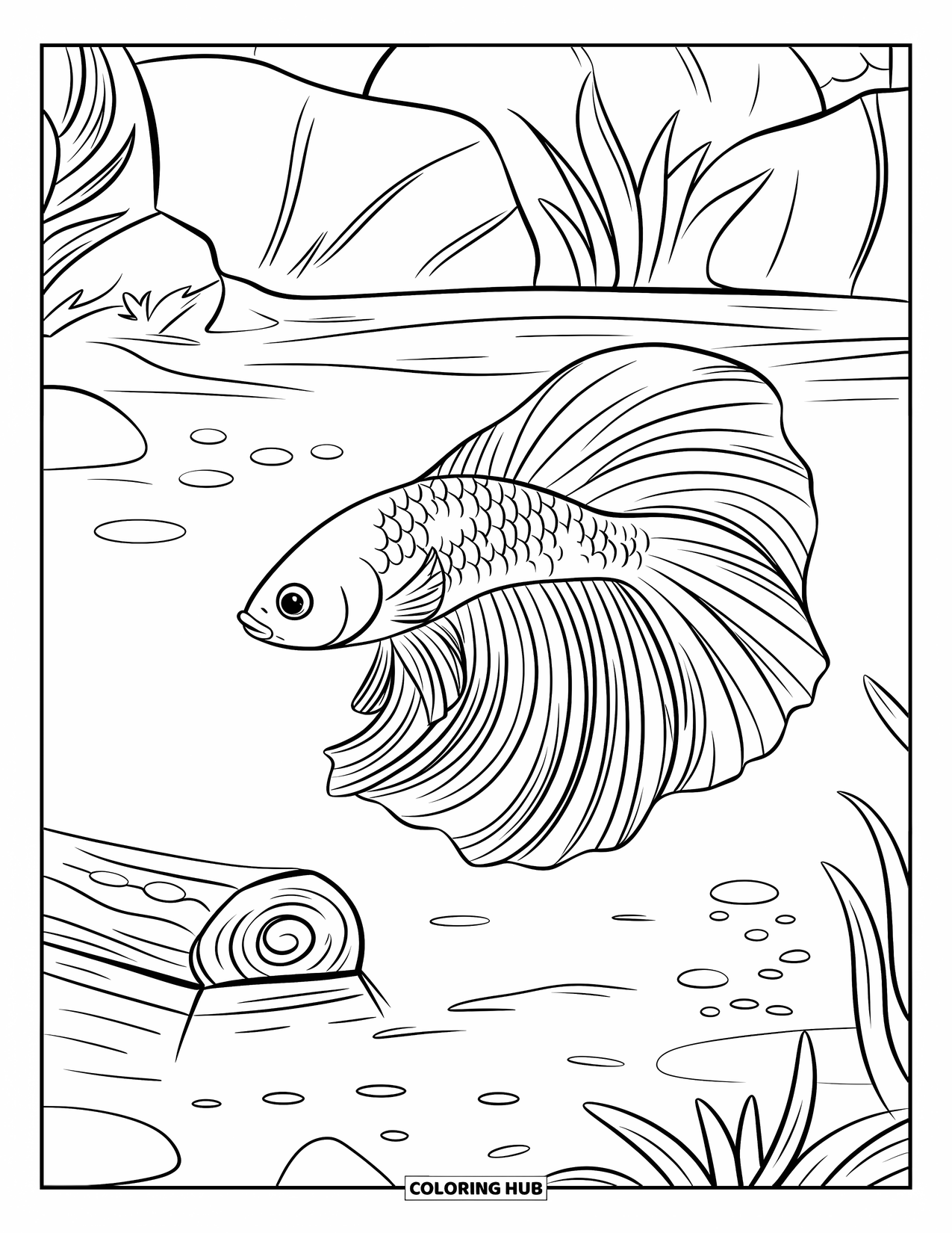 Betta Fish Coloring Page for Kids: An orange betta fish with bold markings swims near a log and soft plants