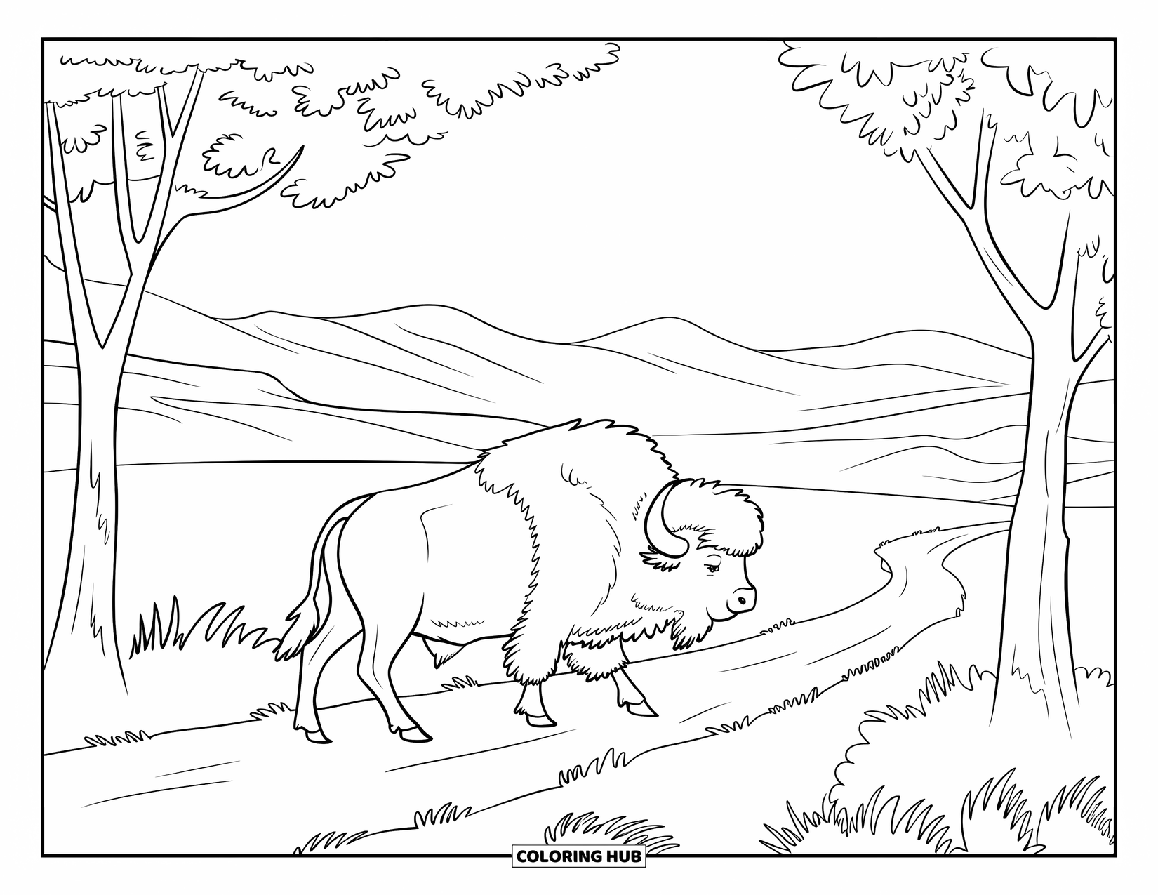 Buffalo Coloring Page for Adults: A buffalo strolls a dirt path lined with trees and grassy hills