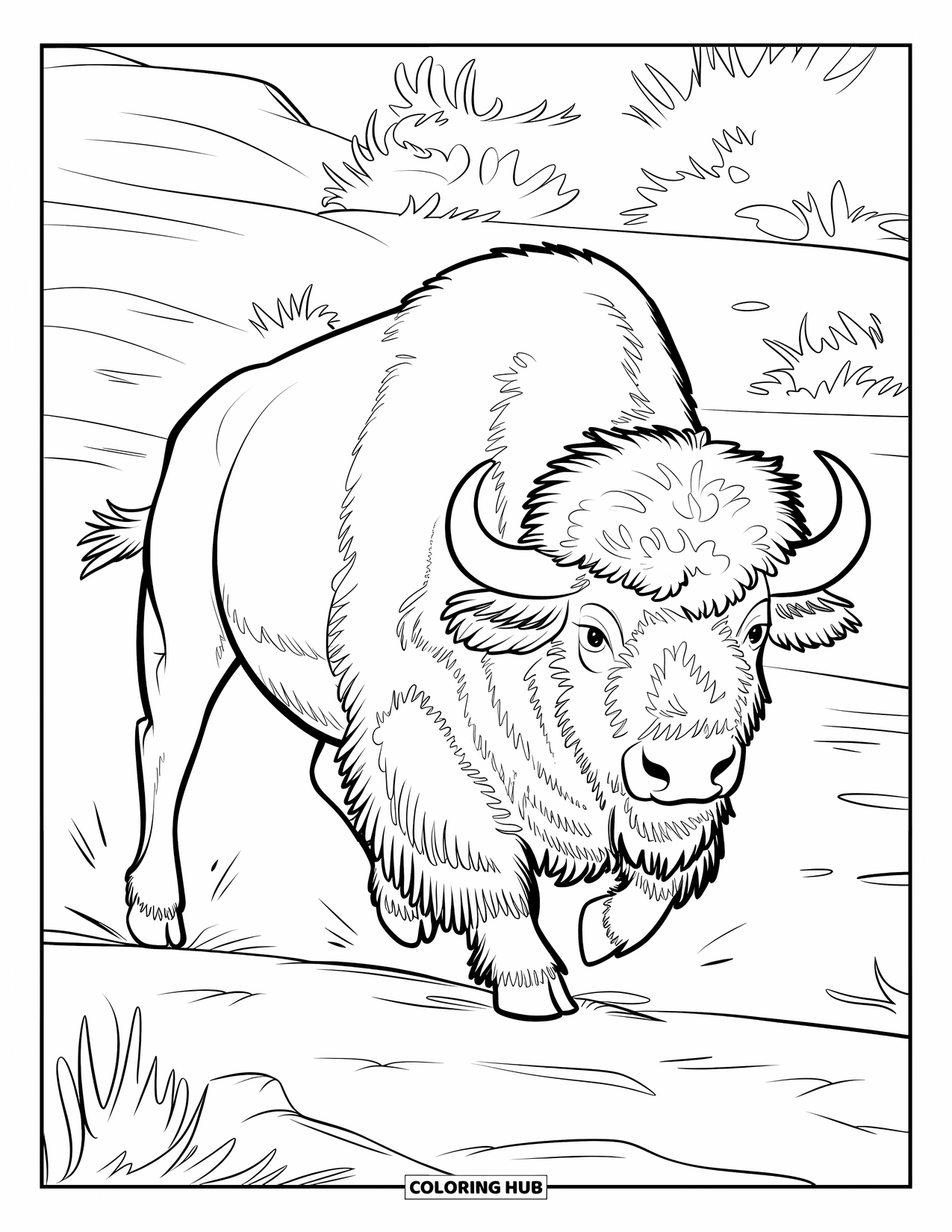 Buffalo Coloring Page for Adults: A buffalo walks mid-step over rocky ground and shrubs