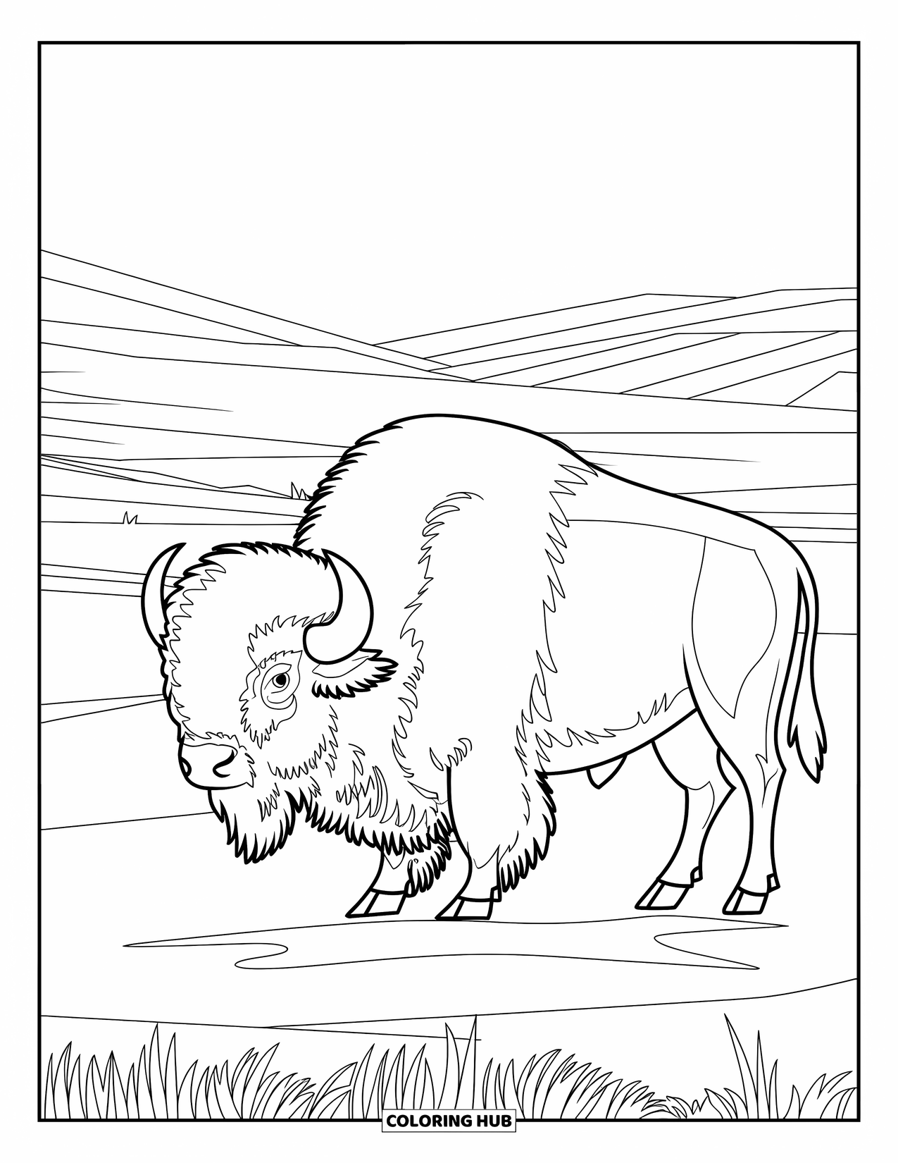 Buffalo Coloring Page for Adults: A majestic buffalo stands in a quiet prairie with hills in the distance