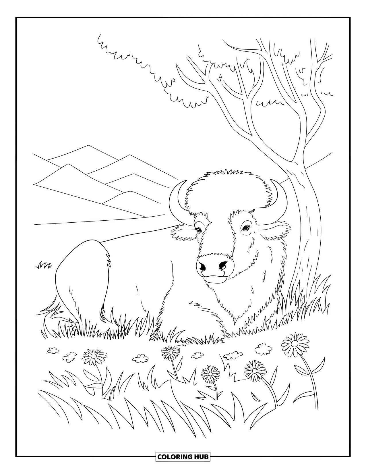 Buffalo Coloring Page for Adults: A peaceful buffalo lies beside a tree with mountains and sky behind