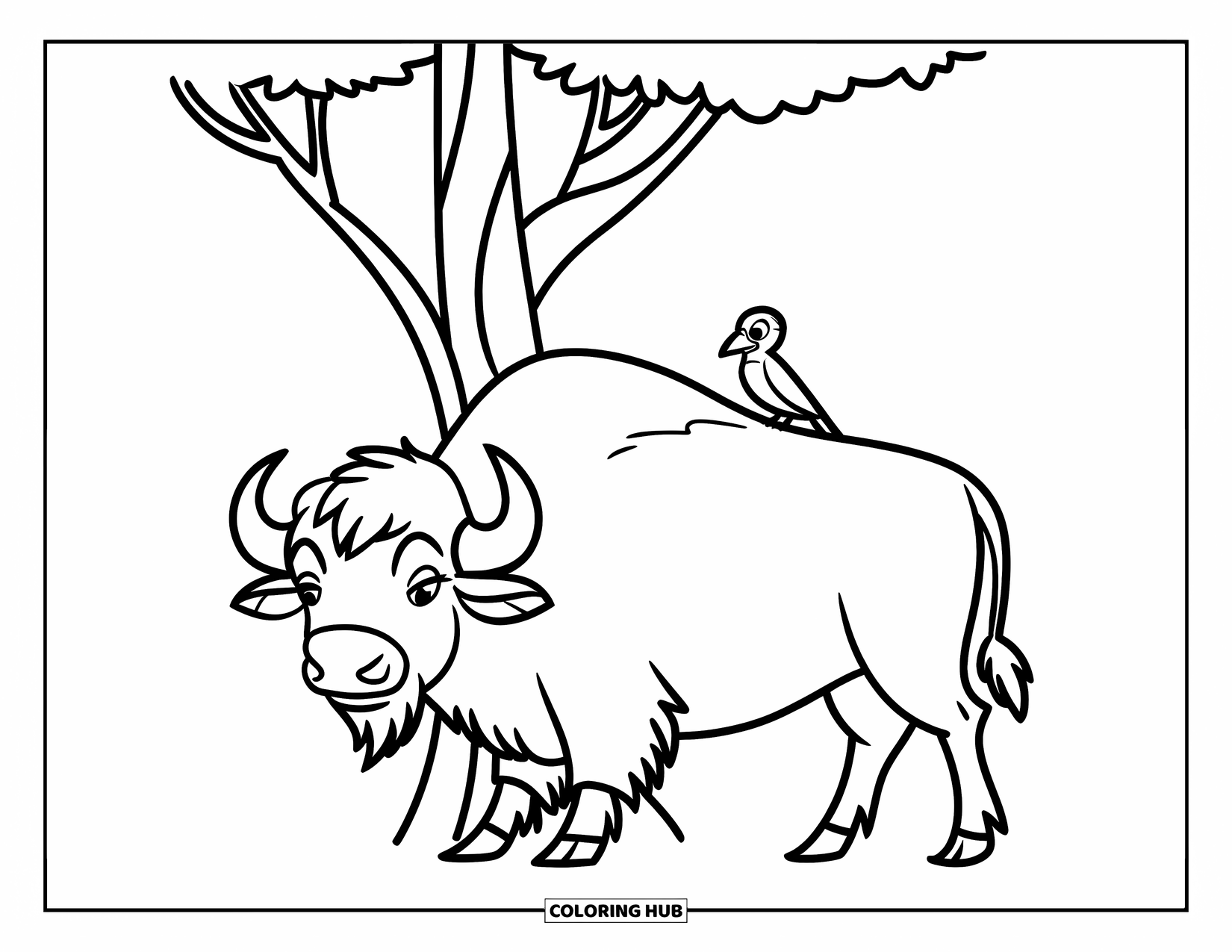 Buffalo Coloring Page for Kids: A bird perches on a buffalo's back beside a simple tree