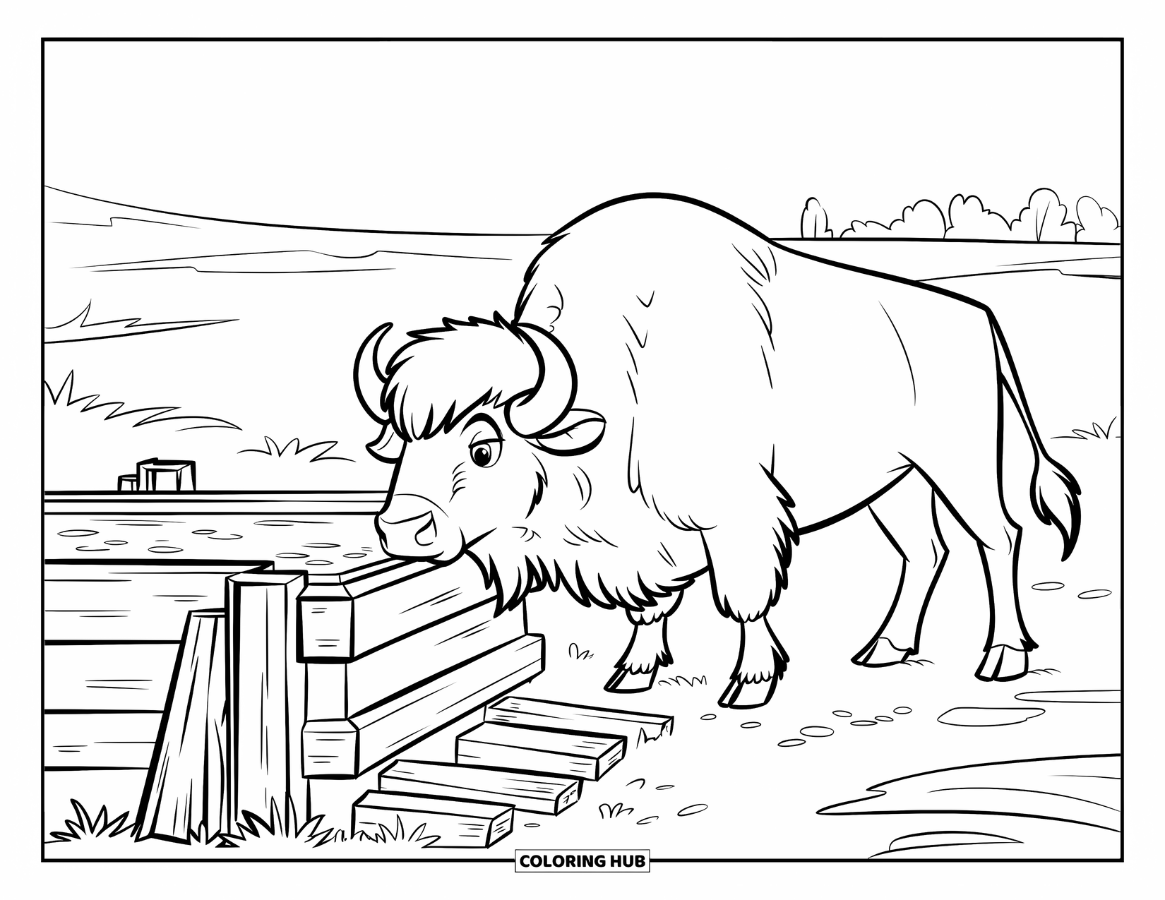 Buffalo Coloring Page for Kids: A buffalo faces a wooden trough in an open ranch scene with scattered trees