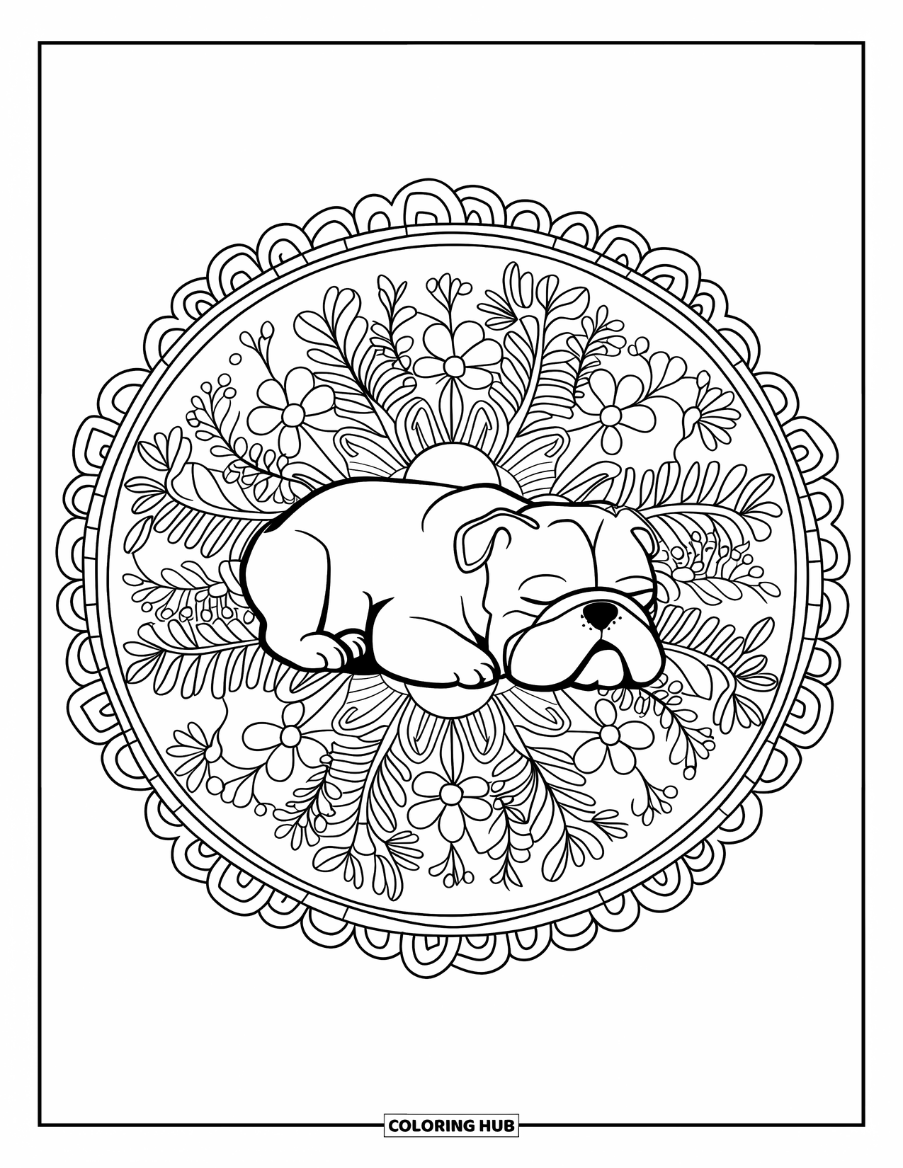 Bulldog Coloring Page for Adults: A bulldog snoozes in the middle of a flowery circular mandala
