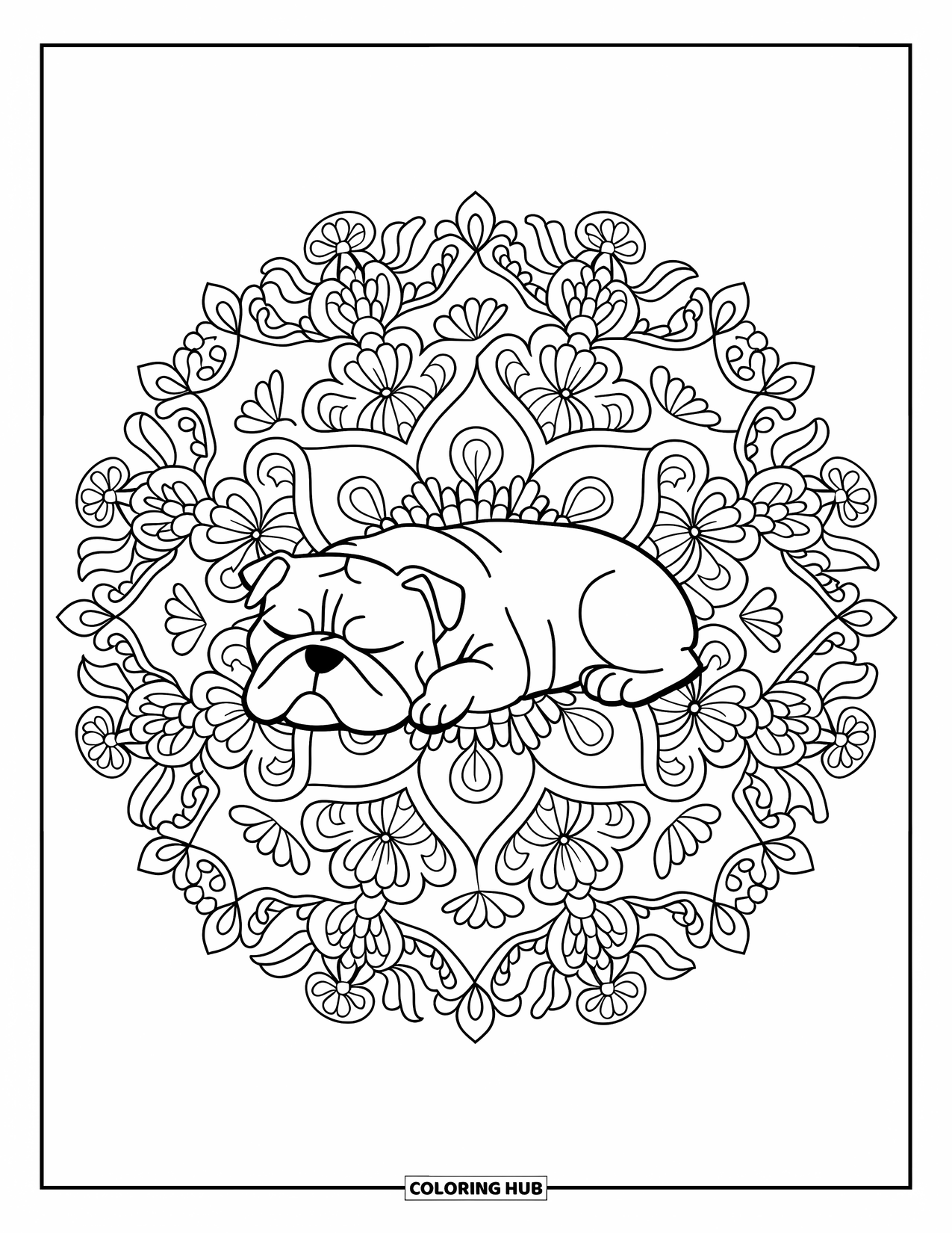 Bulldog Coloring Page for Adults: A sleeping bulldog lies at the center of a floral mandala