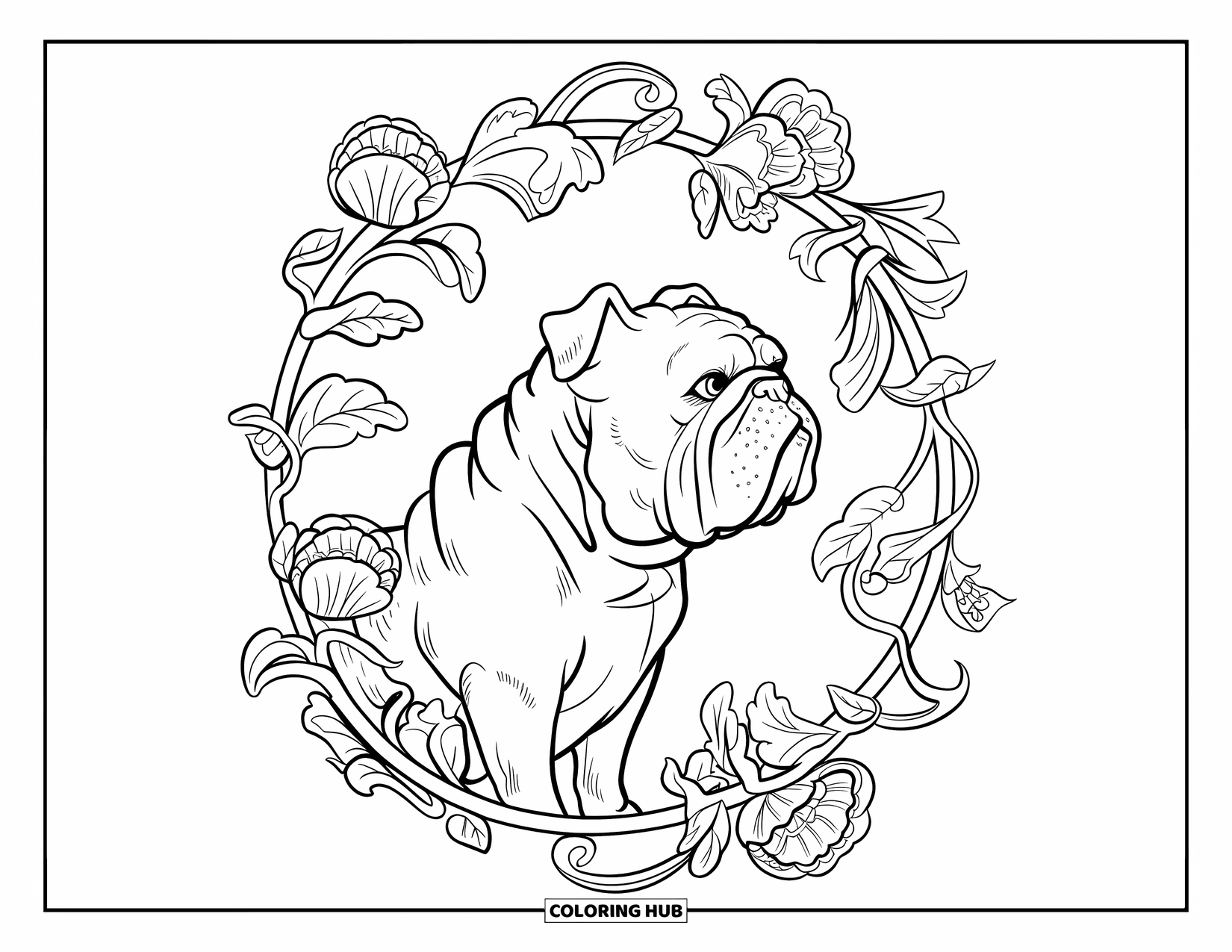 Bulldog Coloring Page for Adults: A wrinkly bulldog is framed by curling vines filled with flowers and leaves