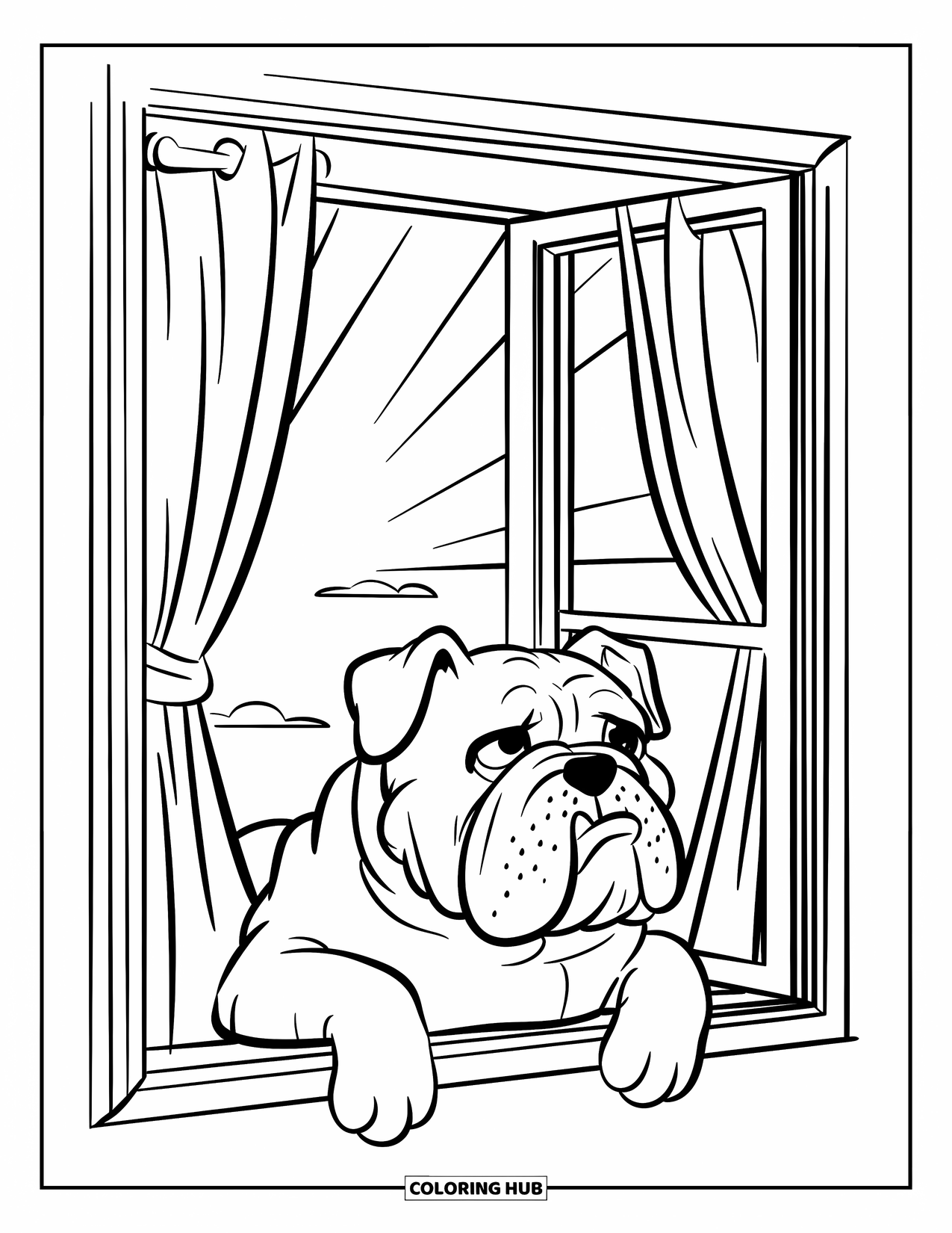 Bulldog Coloring Page for Kids: A bulldog sits quietly by a window with curtains and light shining through