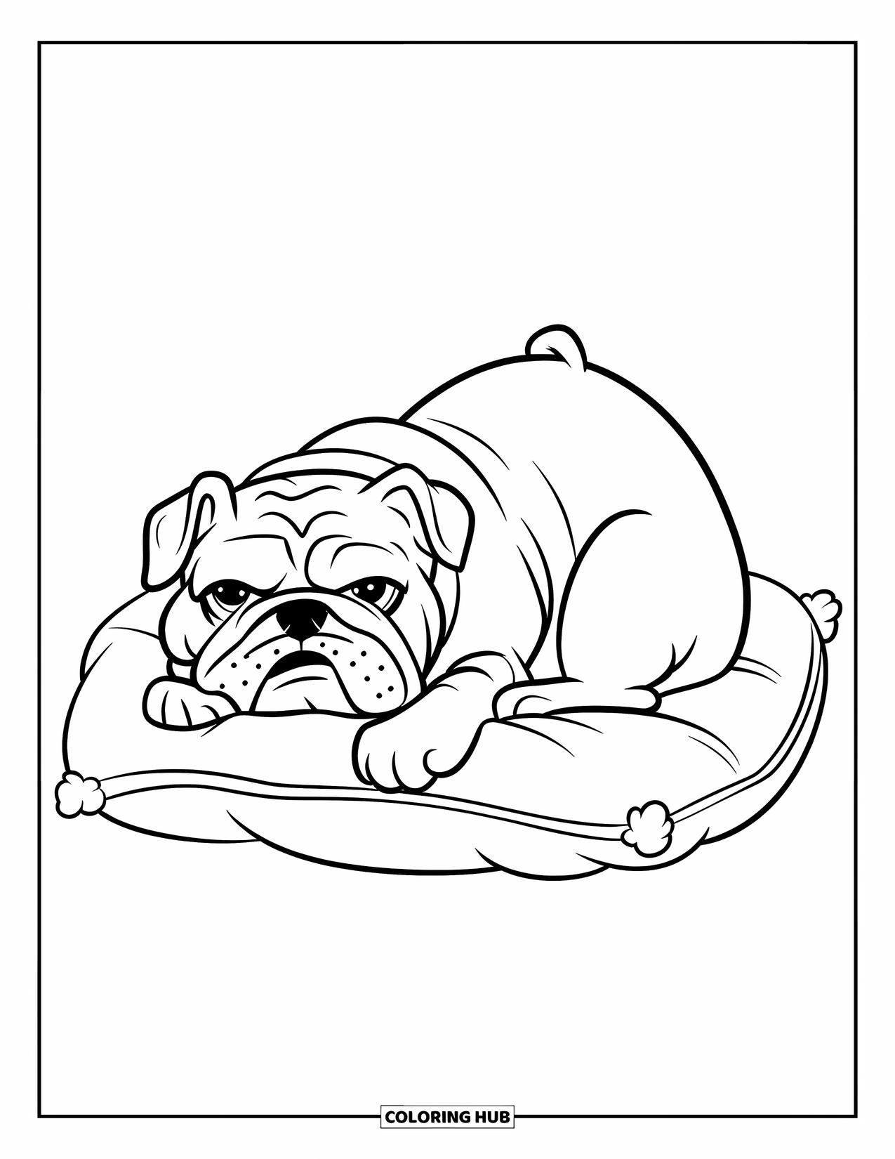 Bulldog Coloring Page for Kids: A cute bulldog curls up on a soft, fluffy pillow