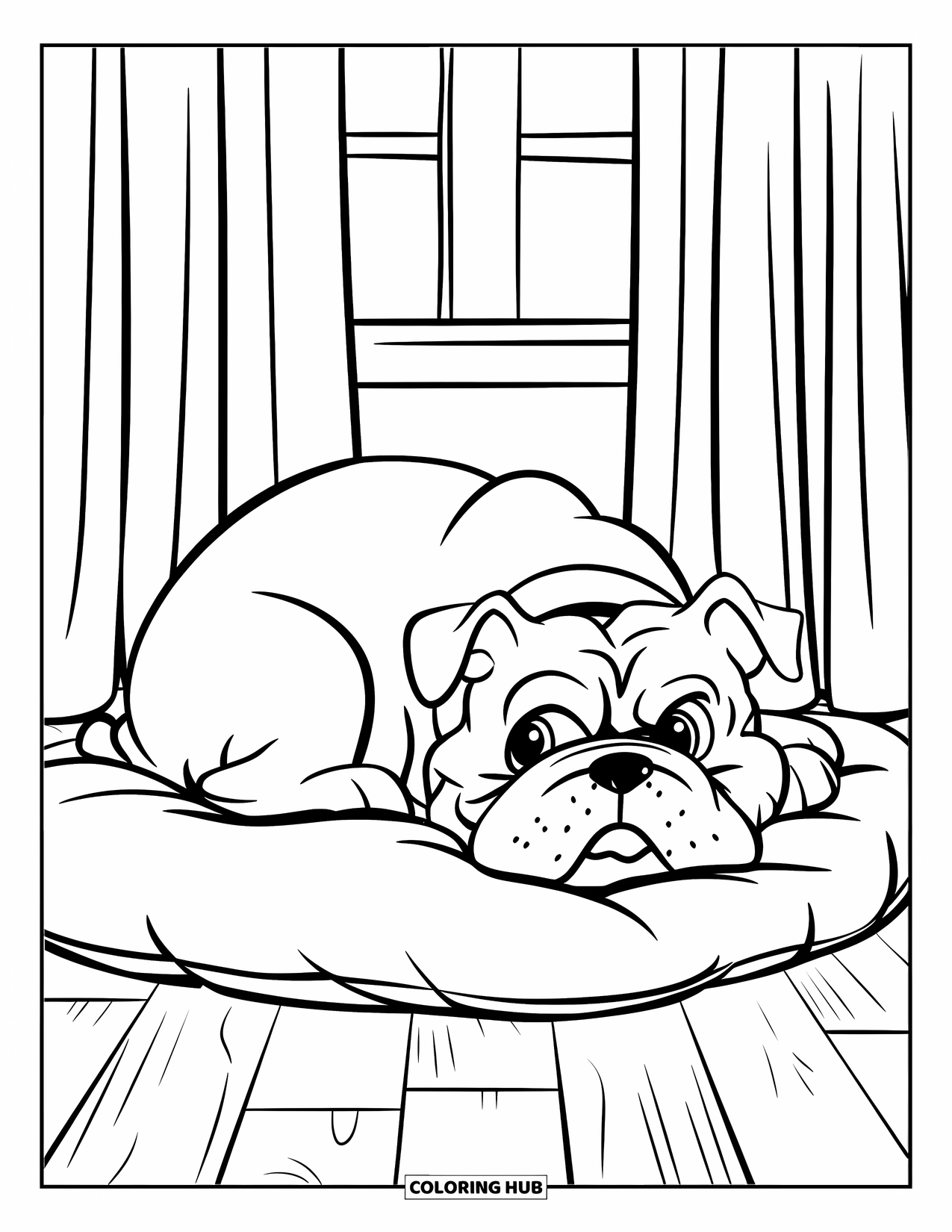 Bulldog Coloring Page for Kids: A round-faced bulldog naps on a pillow near a curtained window