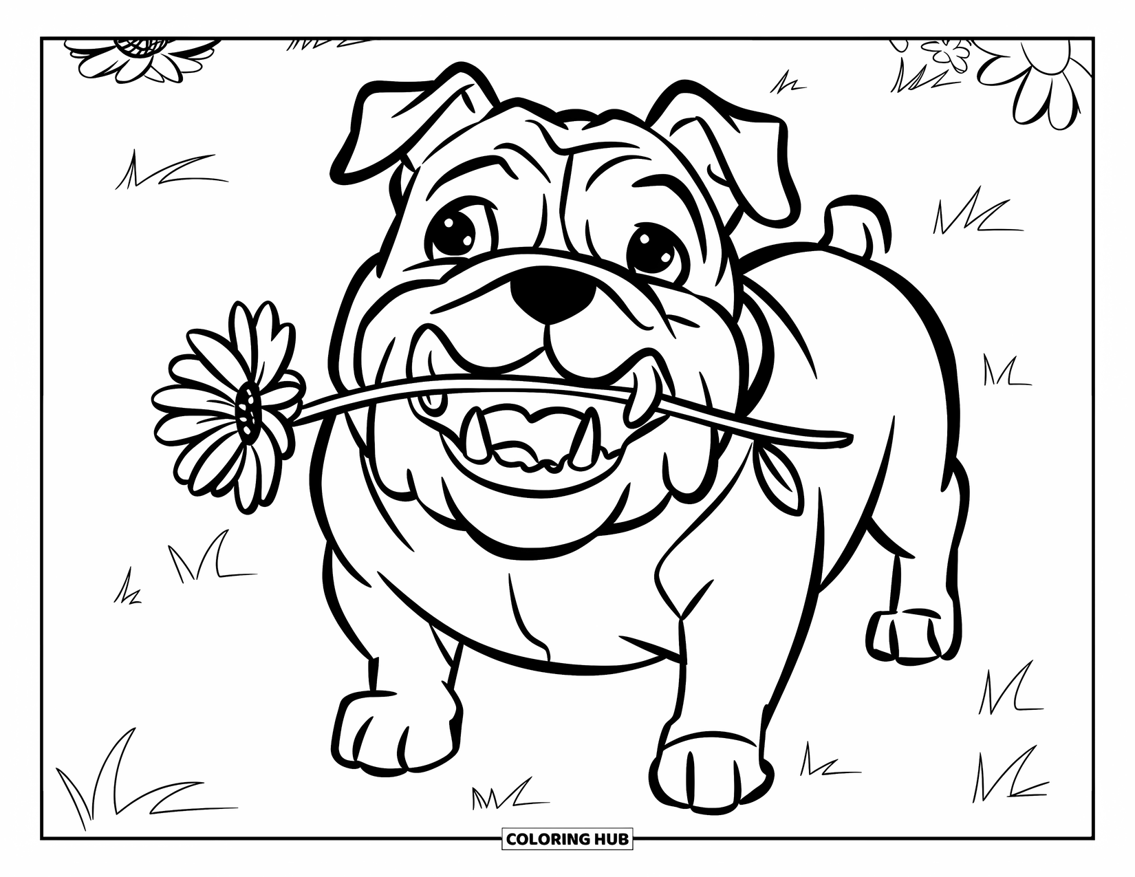 Bulldog Coloring Page for Kids: A smiling bulldog with a flower stands on a grassy field with a few blooms