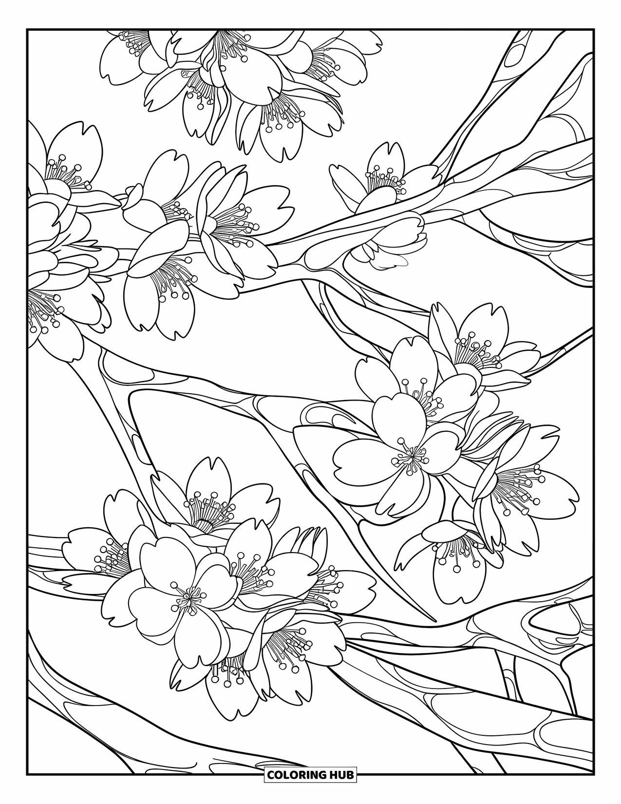 Cherry Blossom Coloring Page for Adults: Cherry blossom branches intertwined in a floral tangle