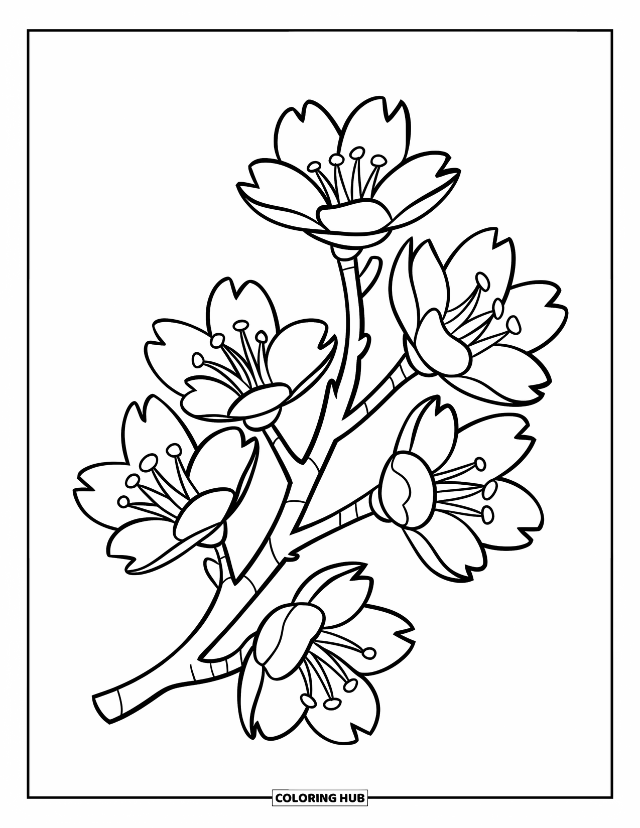 Cherry Blossom Coloring Page for Kids: A single cherry branch with five bold flowers in a playful design