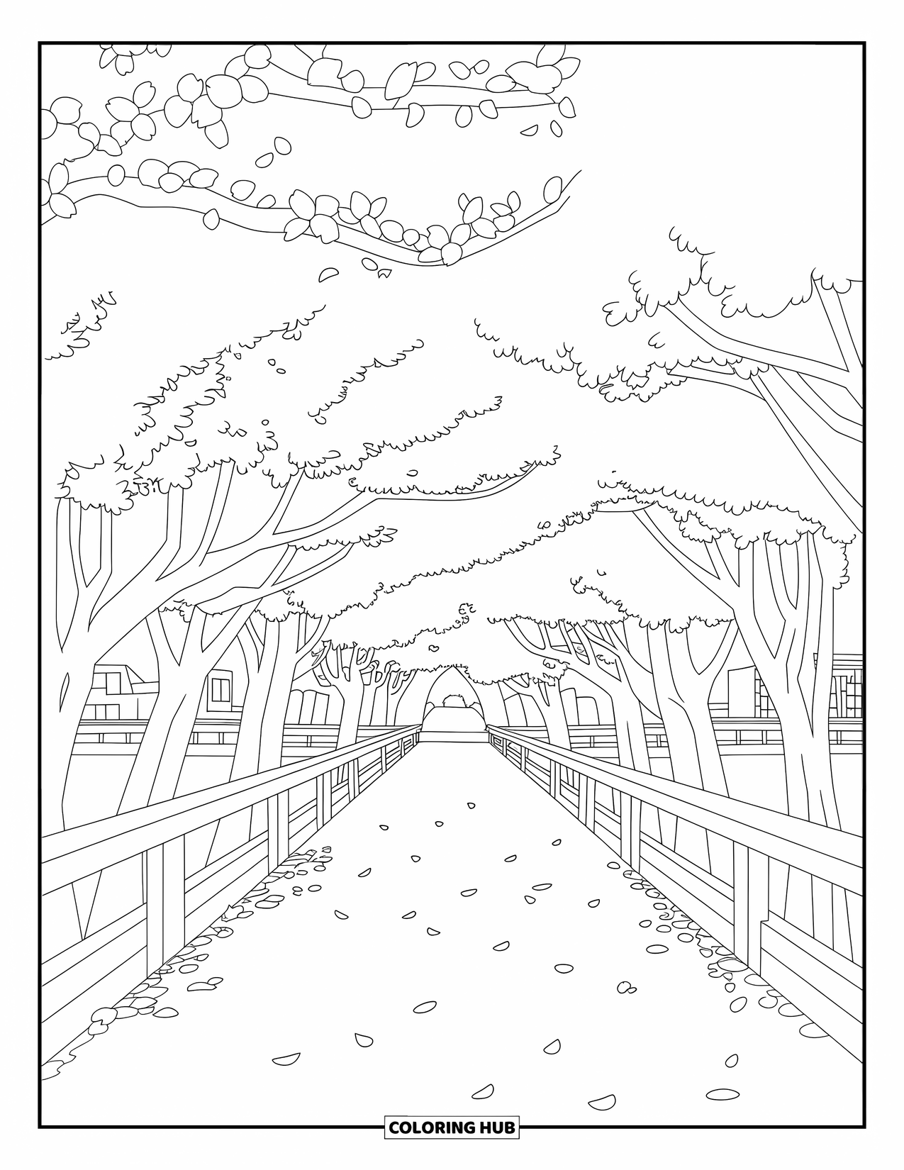 Cherry Blossom Coloring Page for Kids: A trail lined with cherry trees, wooden fences, and fallen white petals