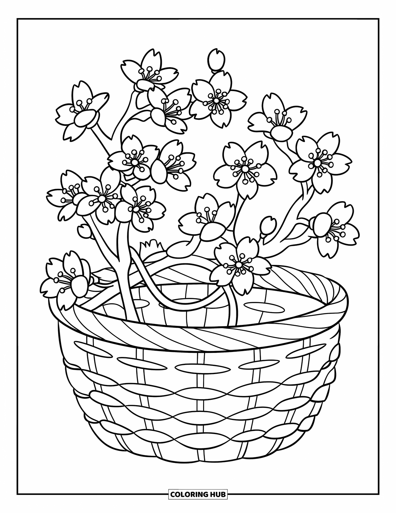 Cherry Blossom Coloring Page for Kids: A woven basket filled with blooming cherry blossom branches