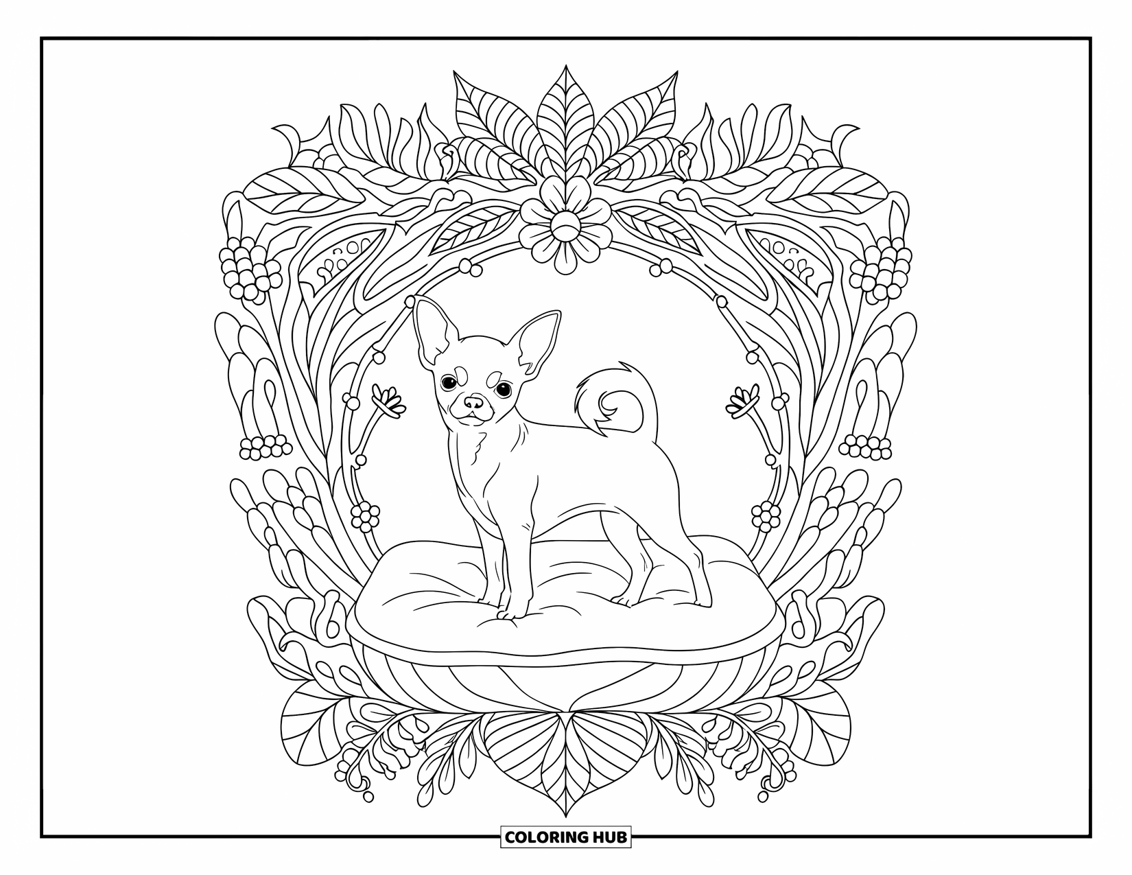 Chihuahua Coloring Page for Adults: Chihuahua poses on a cushion inside a botanical frame with decorative borders
