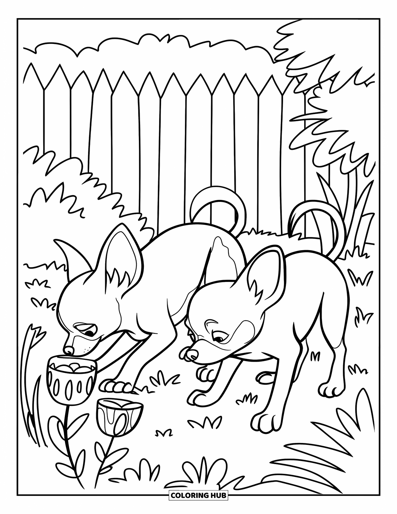 Chihuahua Coloring Page for Kids: Chihuahuas wear hats while sniffing flowers near a fence