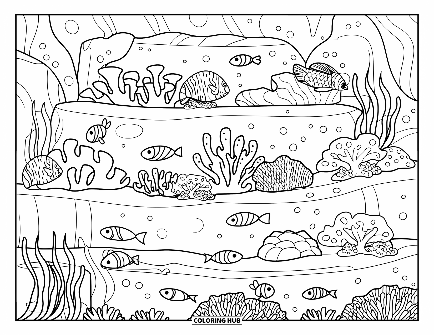 Coral Coloring Page for Kids: A reef filled with fish, rocks, and coral textures with clear ocean vibes