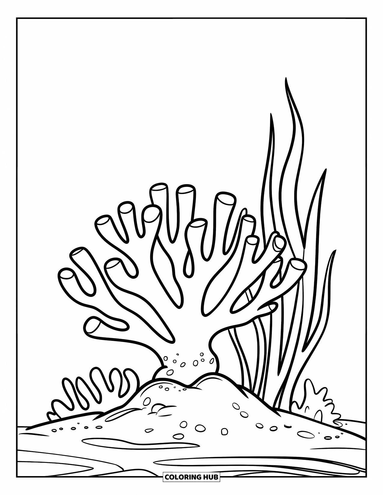 Coral Coloring Page for Kids: A staghorn coral grows from sand with seaweed waving beside it