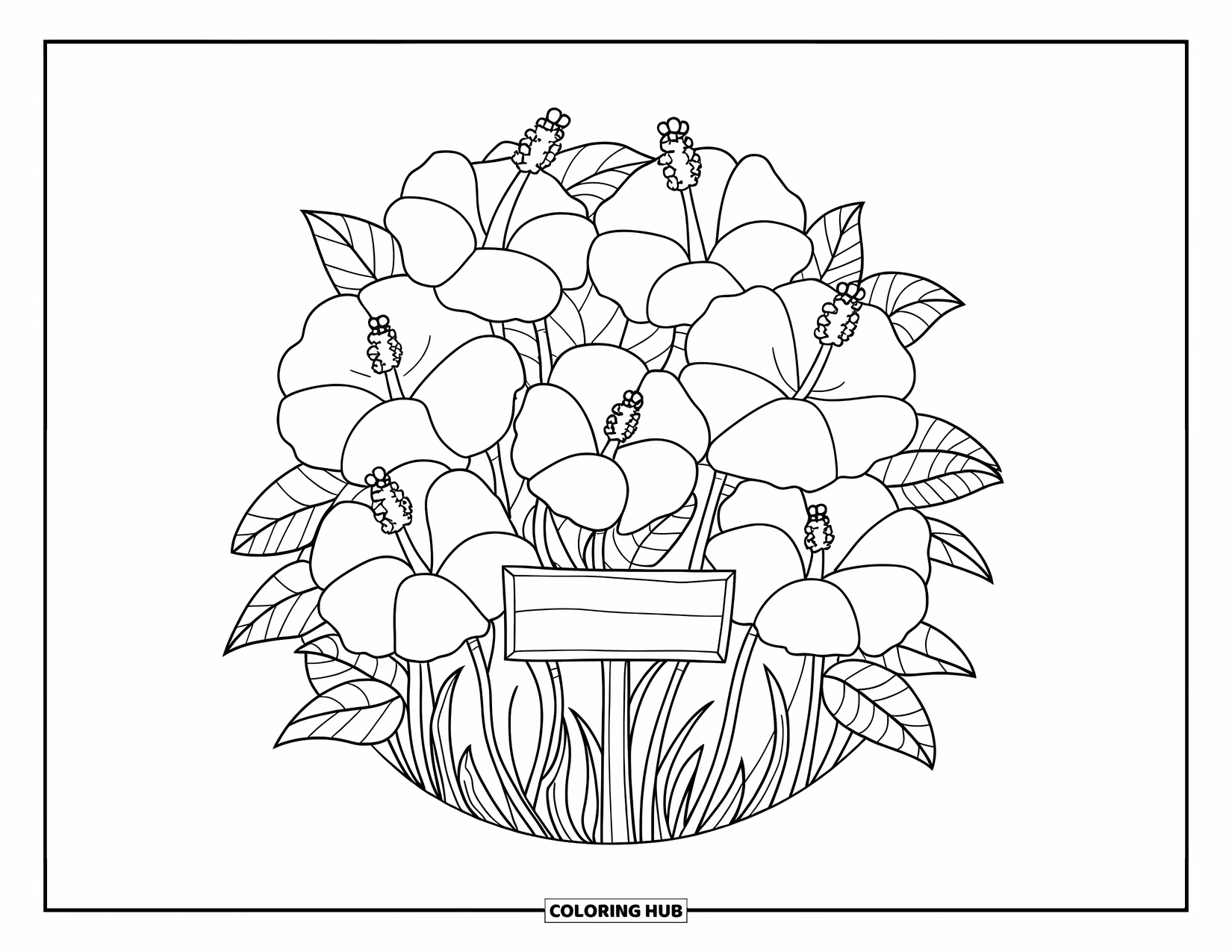 Flower Garden Coloring Page for Kids: Big hibiscus blooms form a circular garden with a simple sign