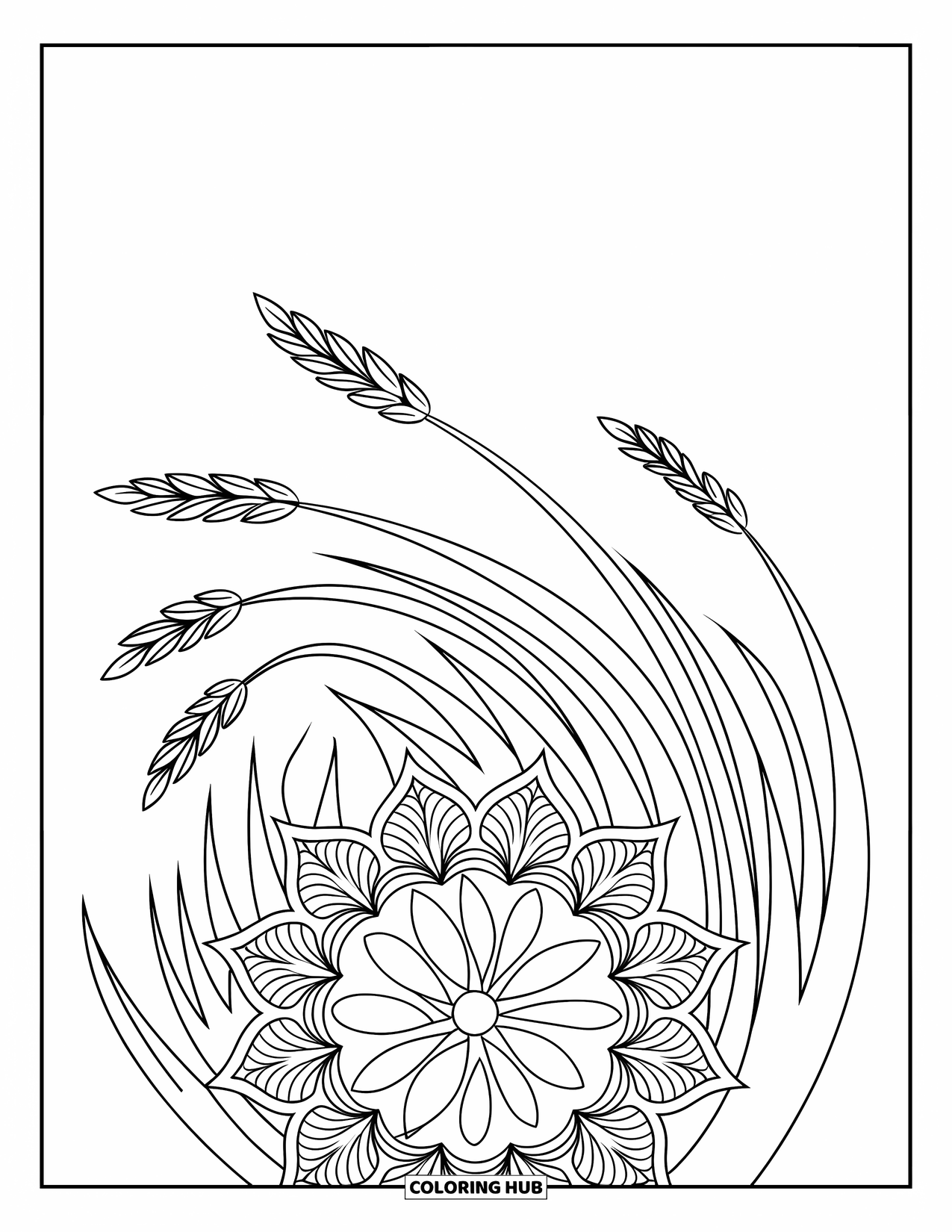 Grass Coloring Page for Adults: Tall grass tufts bloom from a floral mandala with curved, flowing lines