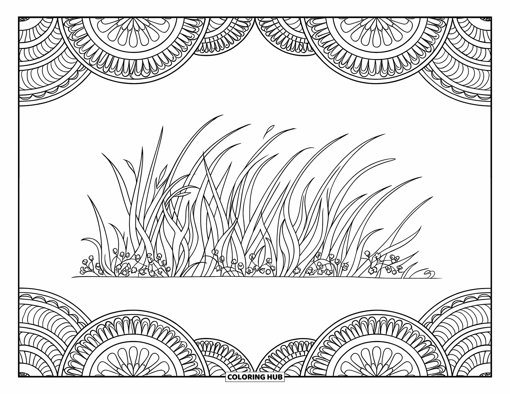 Grass Coloring Page for Adults: Wavy grass and small flowers bloom inside a mandala of intricate patterns and shapes