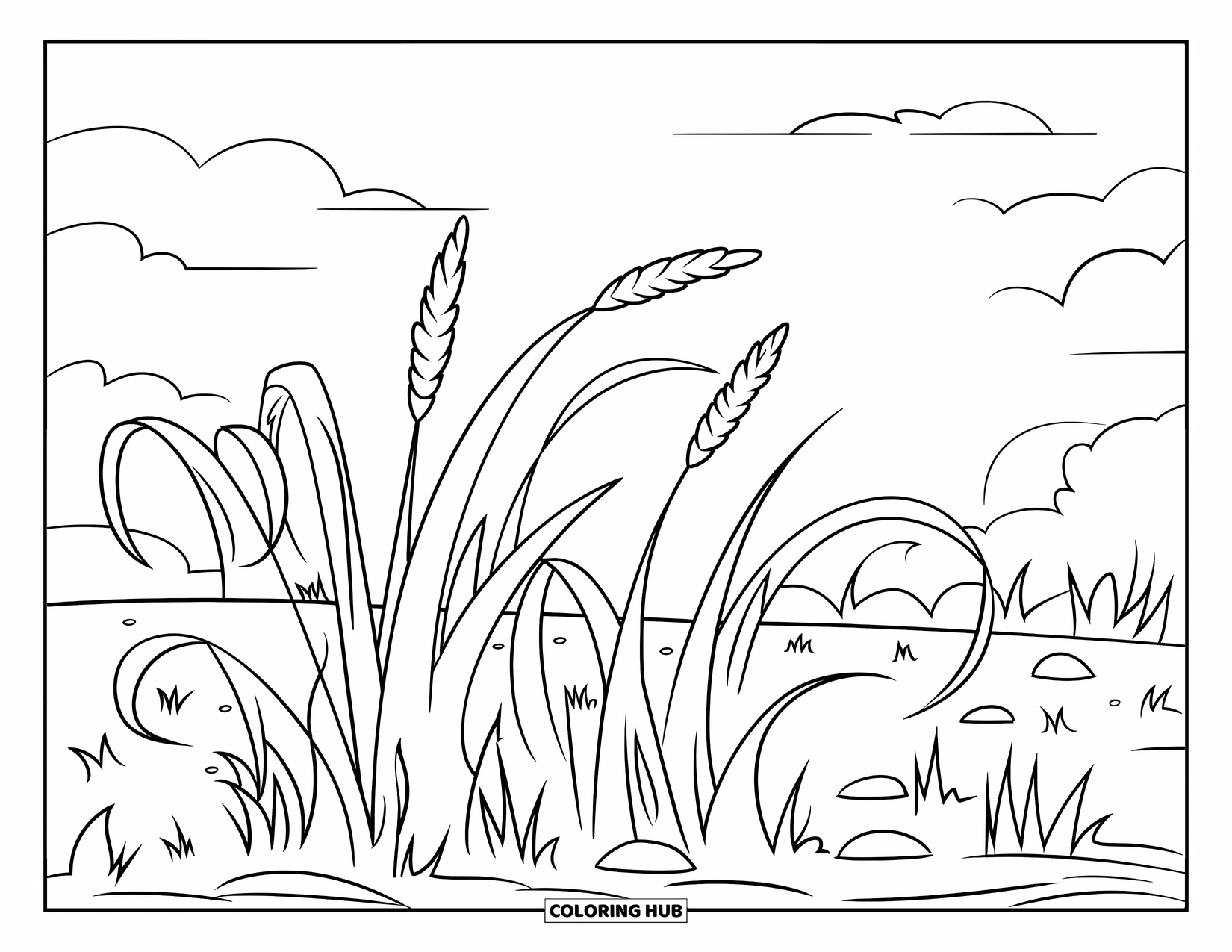 Grass Coloring Page for Kids: Curled grass grows freely with a few scattered rocks