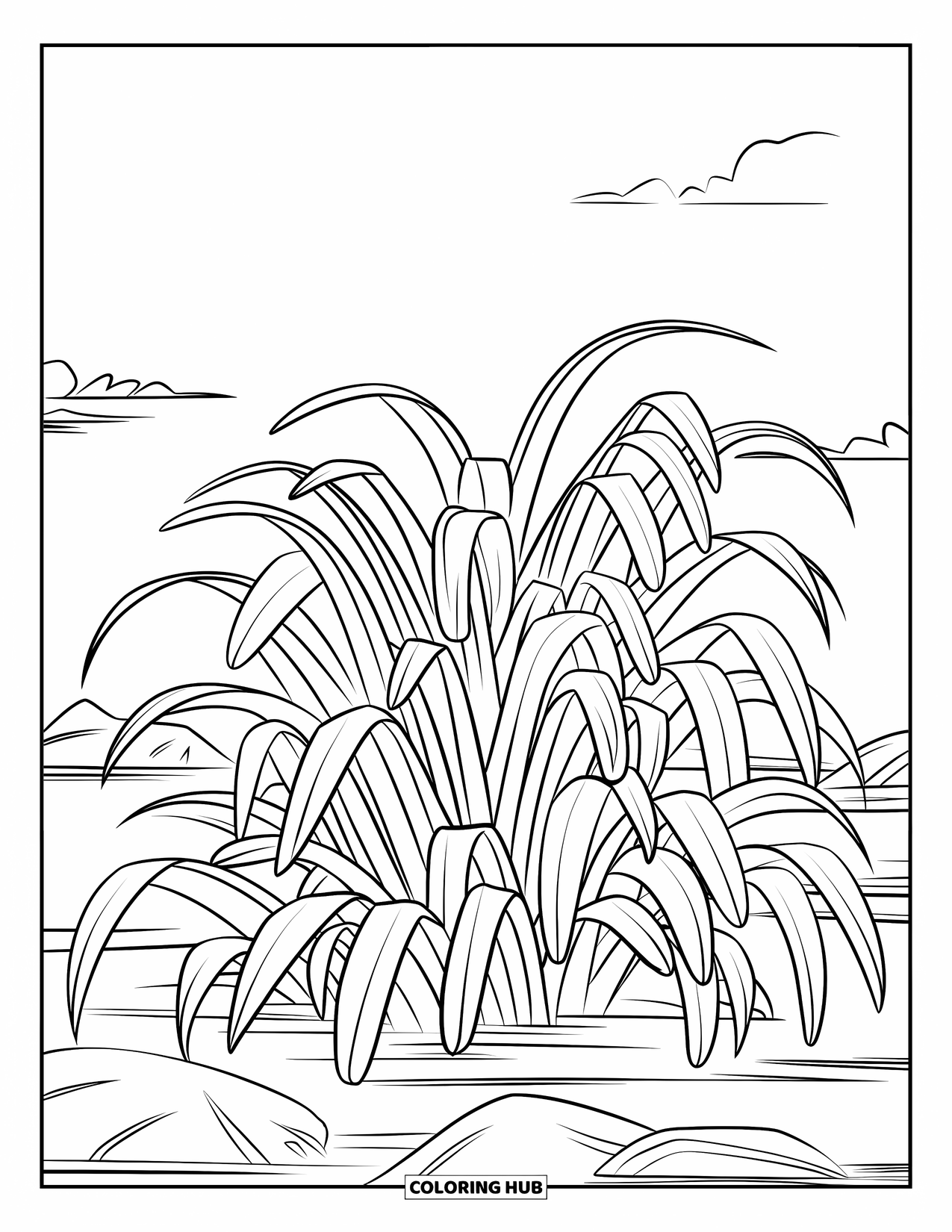 Grass Coloring Page for Kids: Curved grass leaves grow by calm water and fluffy clouds