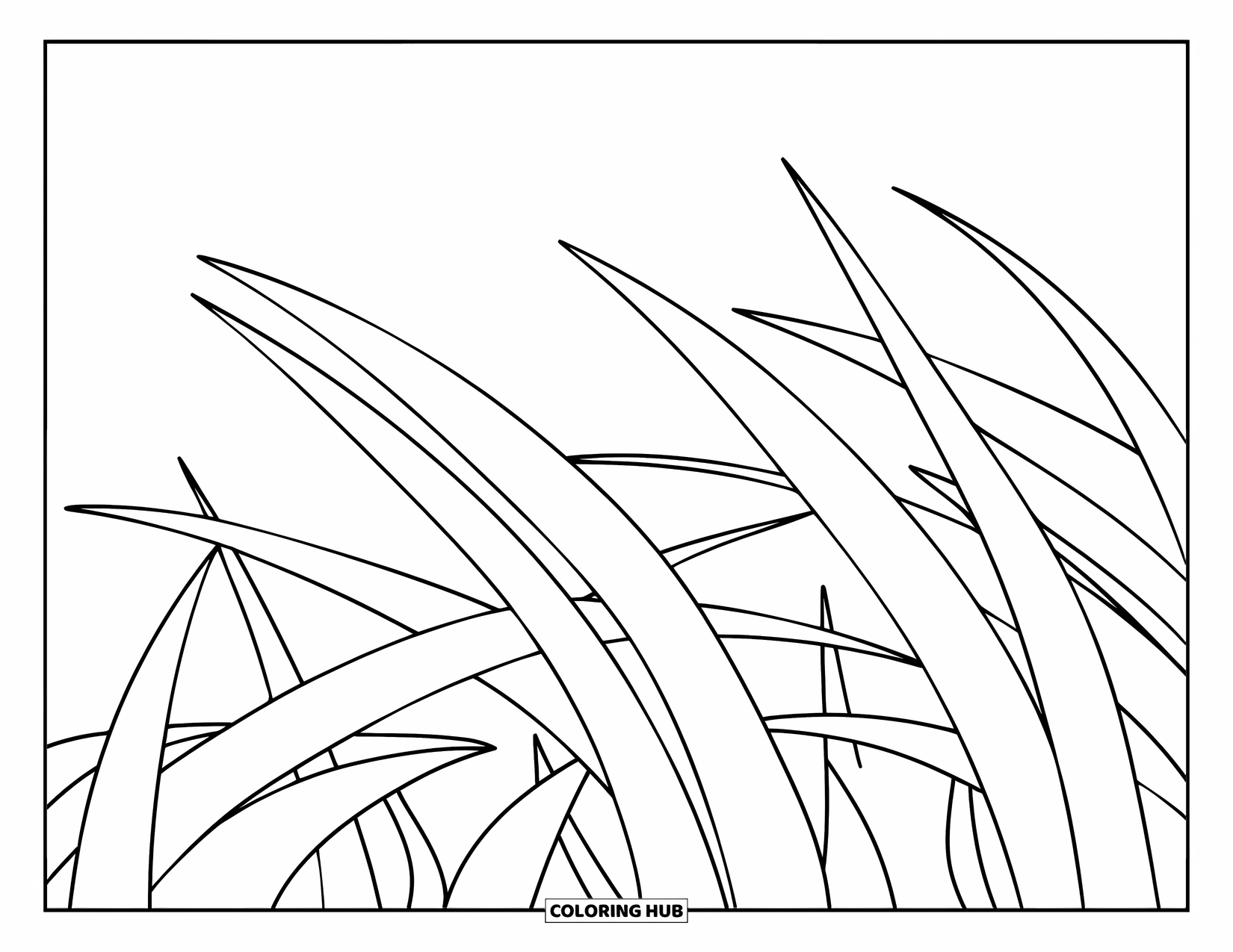 Grass Coloring Page for Kids: Narrow grass blades crisscross gently in a wavy design
