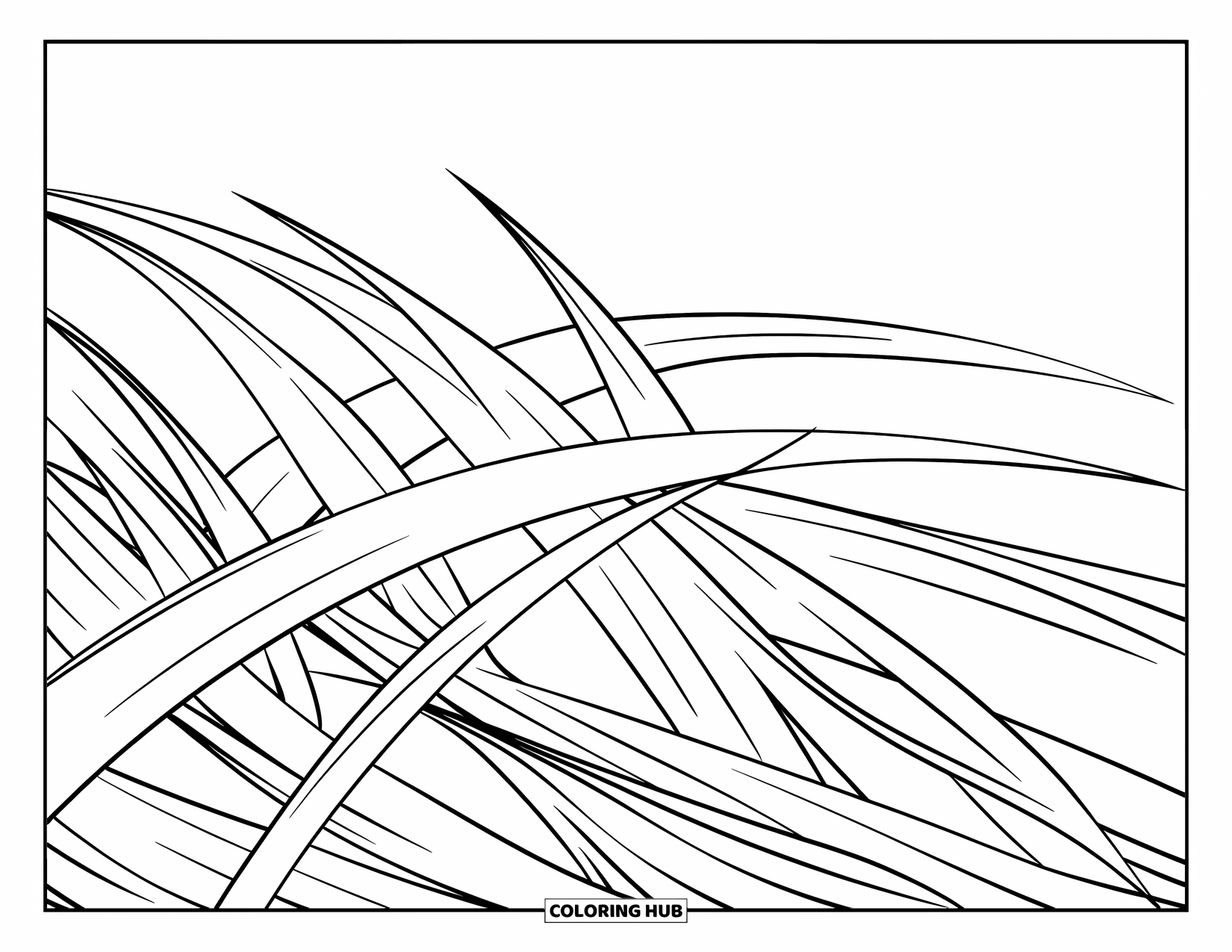 Grass Coloring Page for Kids: Thin, curving grass blades cross gently over each other