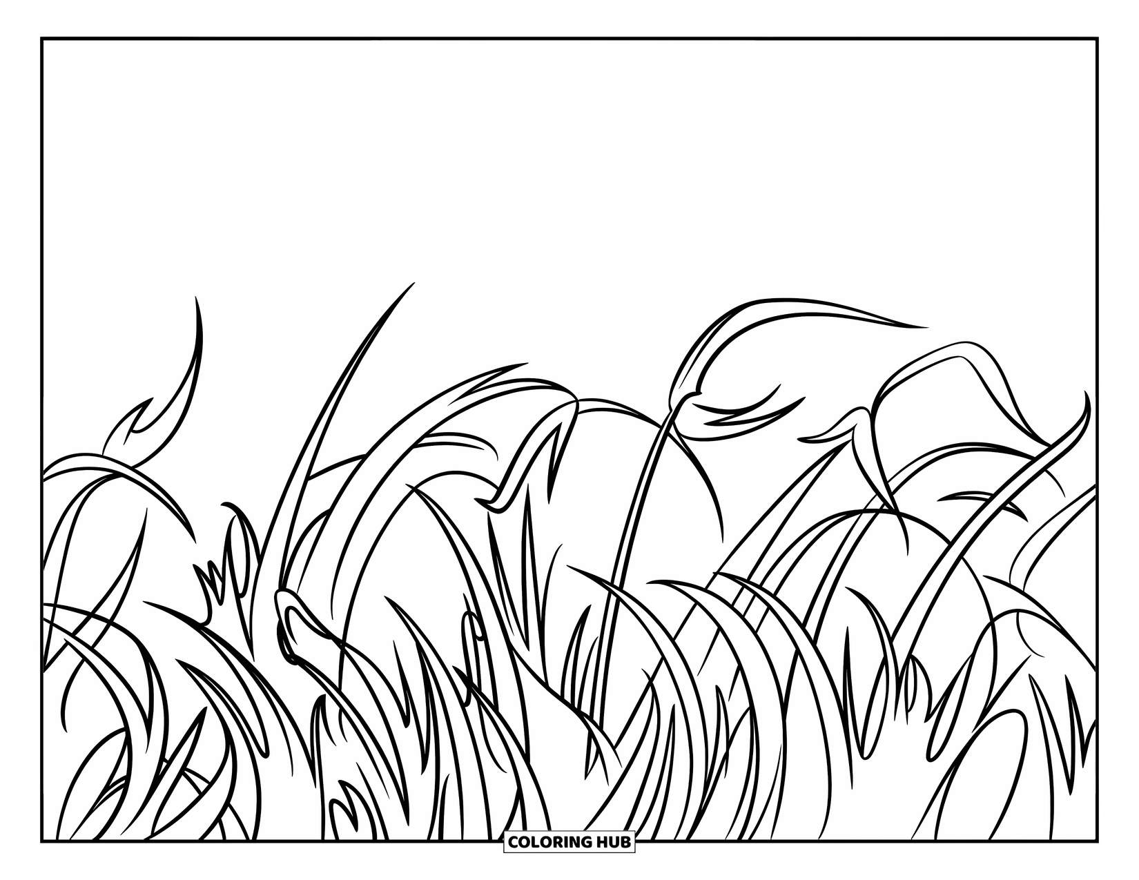 Grass Coloring Page for Kids: Wild grass curls and twists in a breezy field