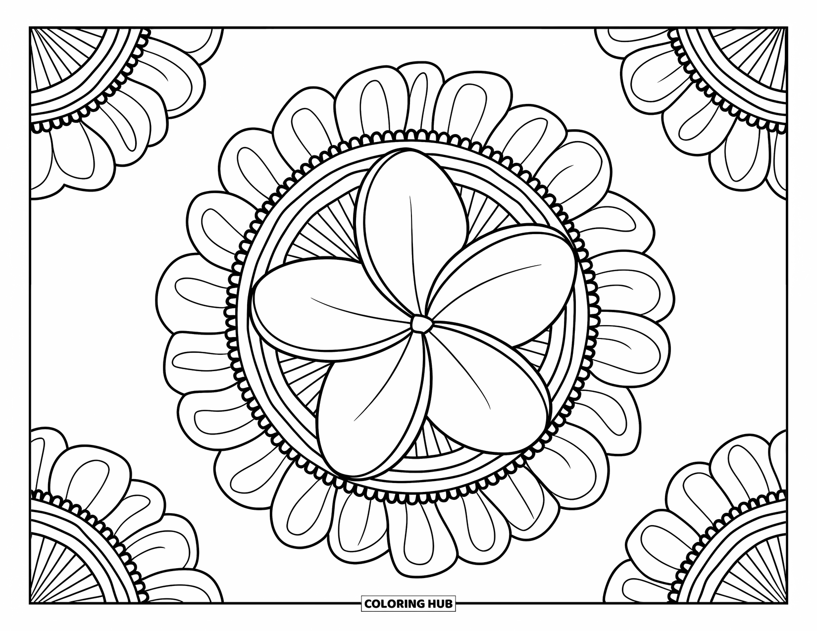 Hawaiian Flower Coloring Page for Adults: A single plumeria sits in the center of layered floral rings and lace borders