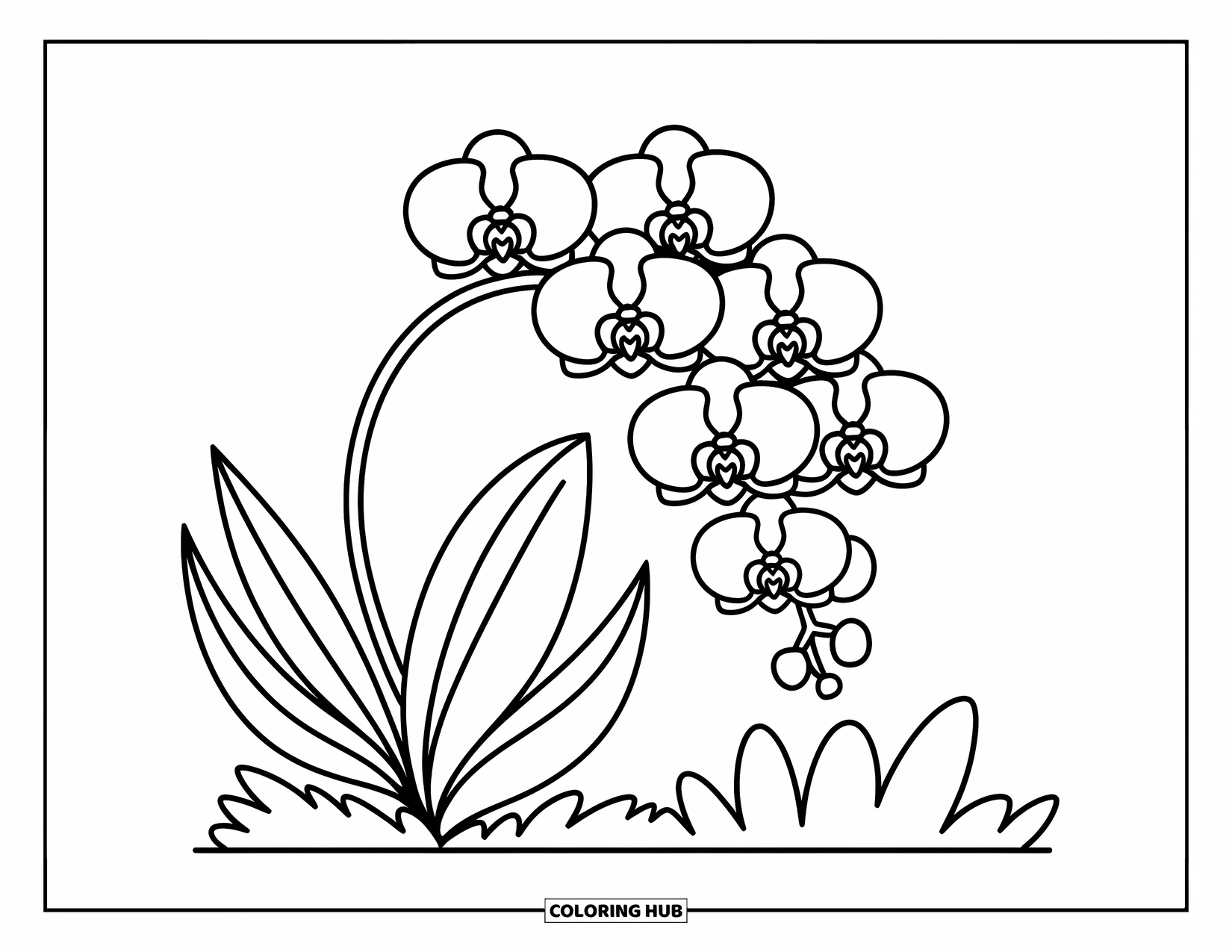 Hawaiian Flower Coloring Page for Adults: A soft orchid stem curves gently with cozy petals, leaves, and cheerful mini creatures